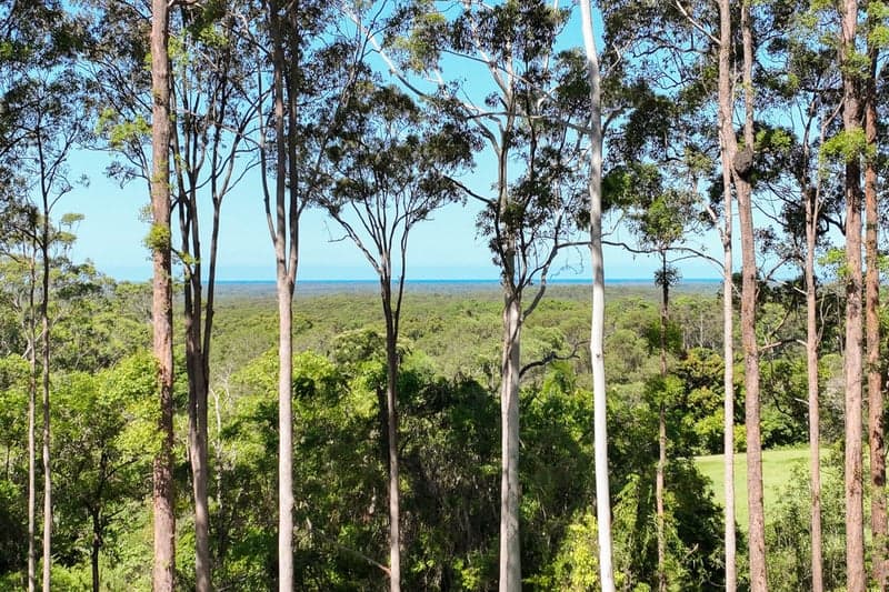 44 Clearview Drive, Lake Macdonald - Thumbnail 3