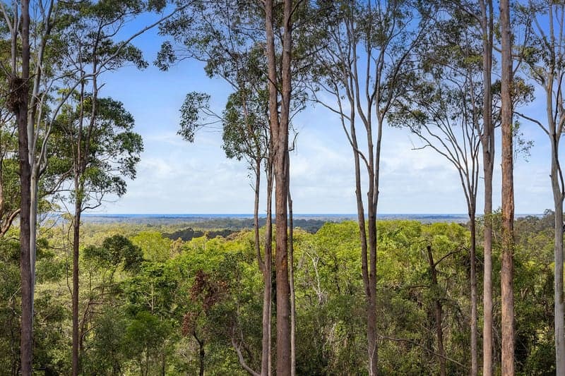 44 Clearview Drive, Lake Macdonald - Thumbnail 7