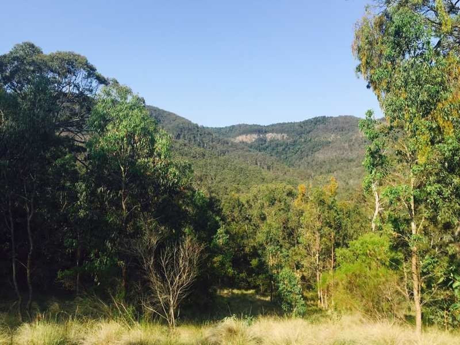Condamine River Road QLD 4373, Condamine River Road - Thumbnail 5