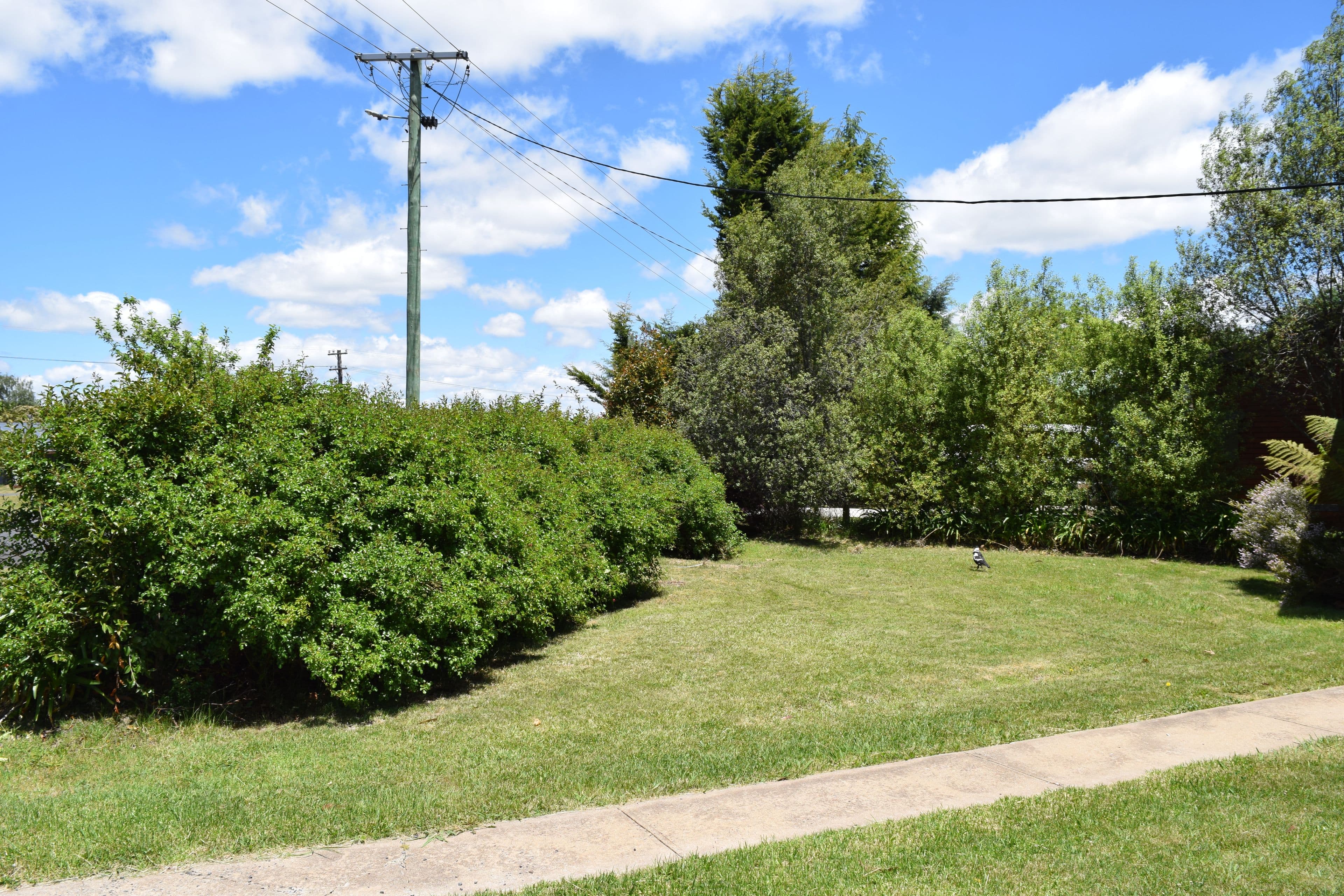 23 Ebor Road, Guyra NSW 2365, Guyra - Thumbnail 2