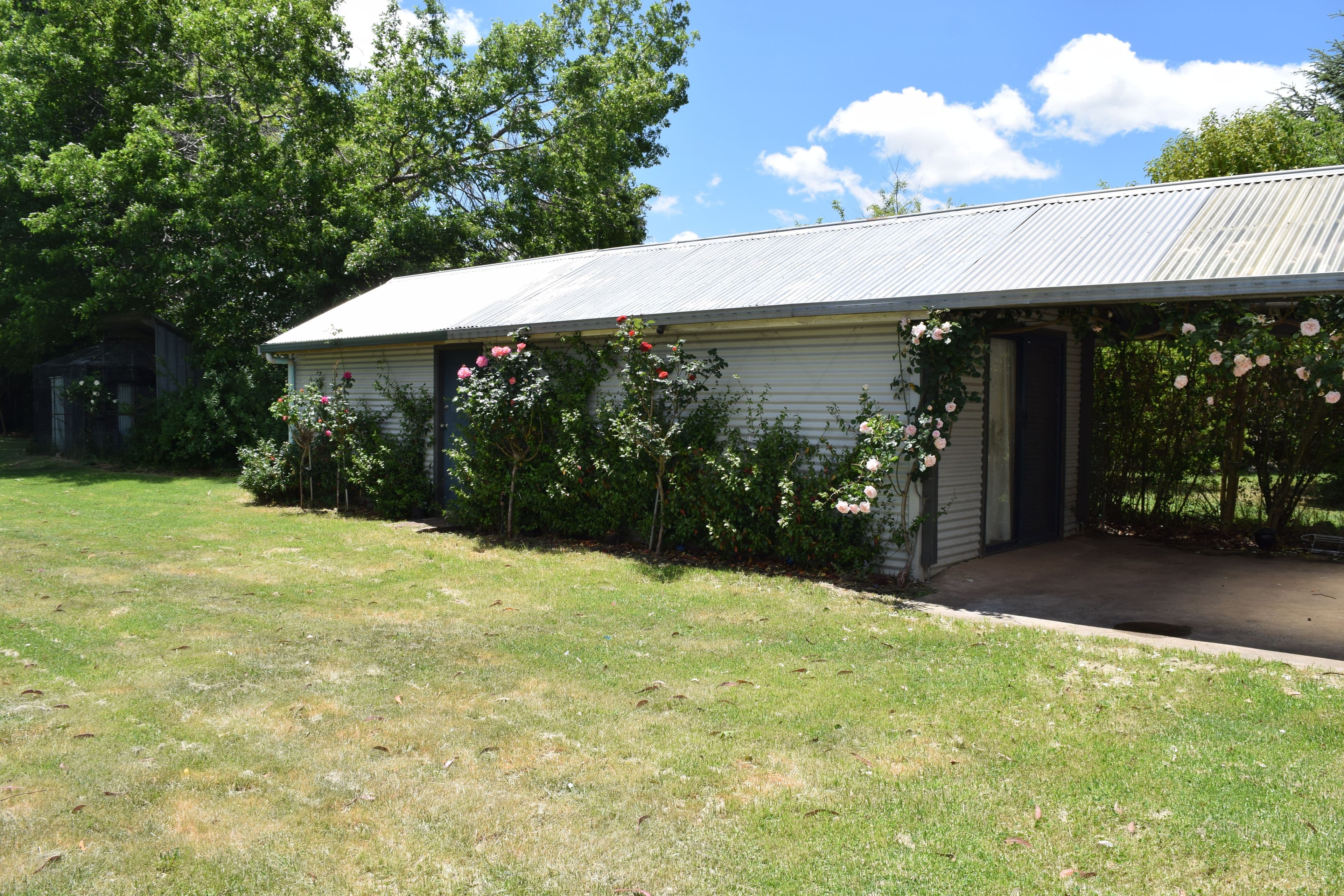 23 Ebor Road, Guyra NSW 2365, Guyra - Thumbnail 4