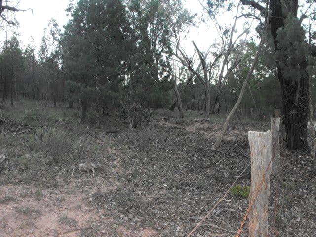 0 Rockyview, COOKAMIDGERA NSW 2870, Cookamidgera - Thumbnail 3