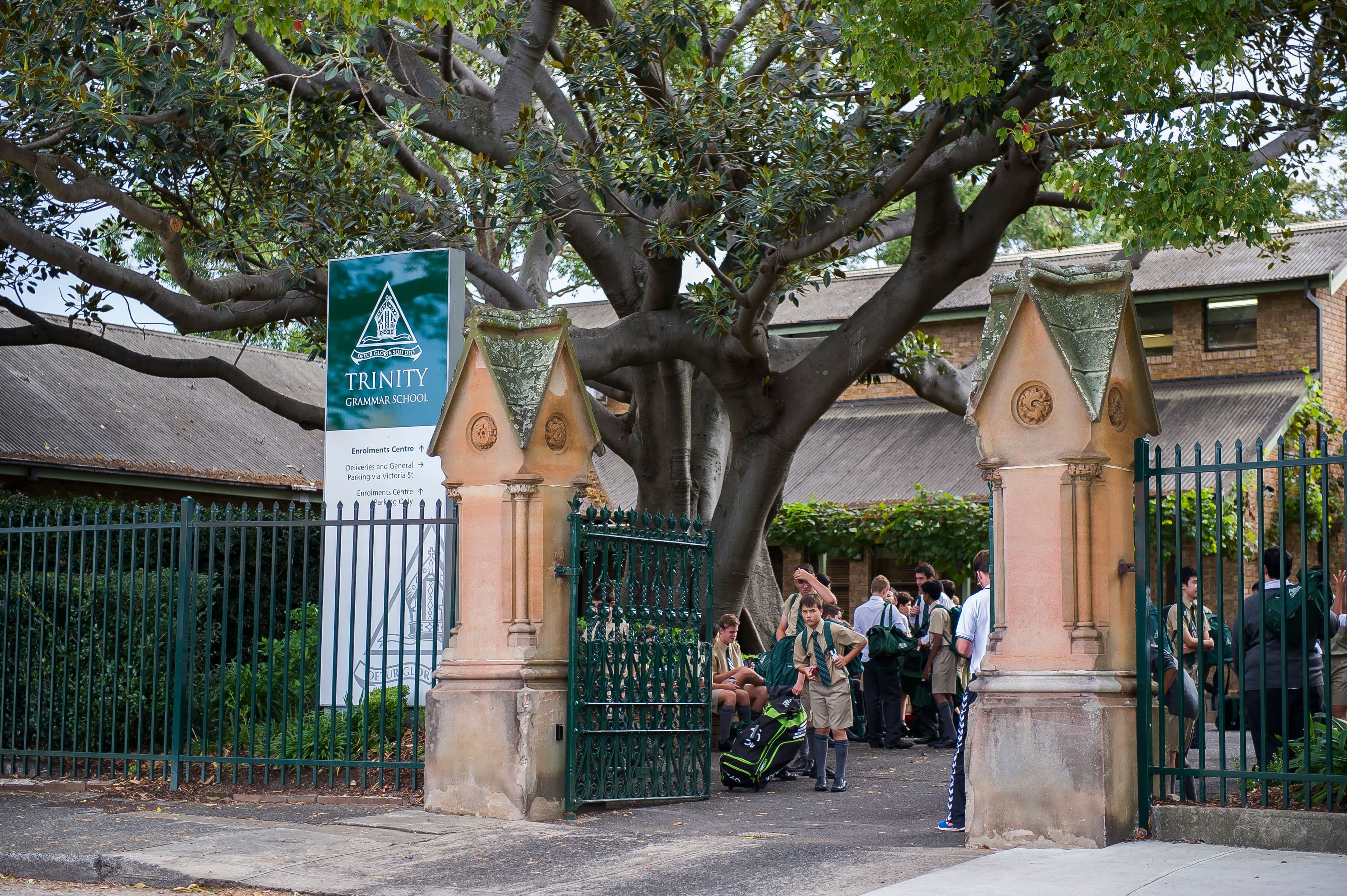 17 Rosemount Avenue, Summer Hill - Thumbnail 8