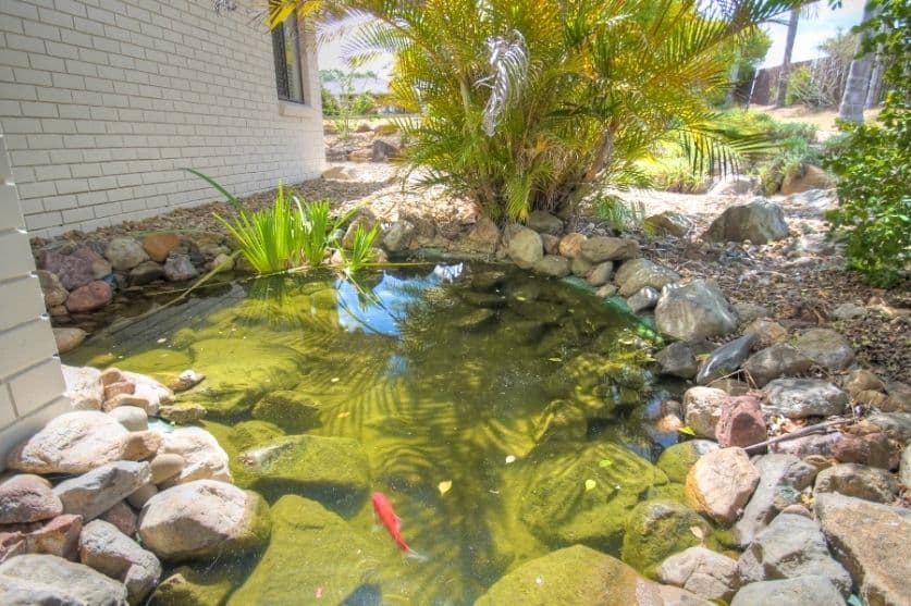 10 Farrell Drive, WALLOON QLD 4306, Walloon - Thumbnail 3