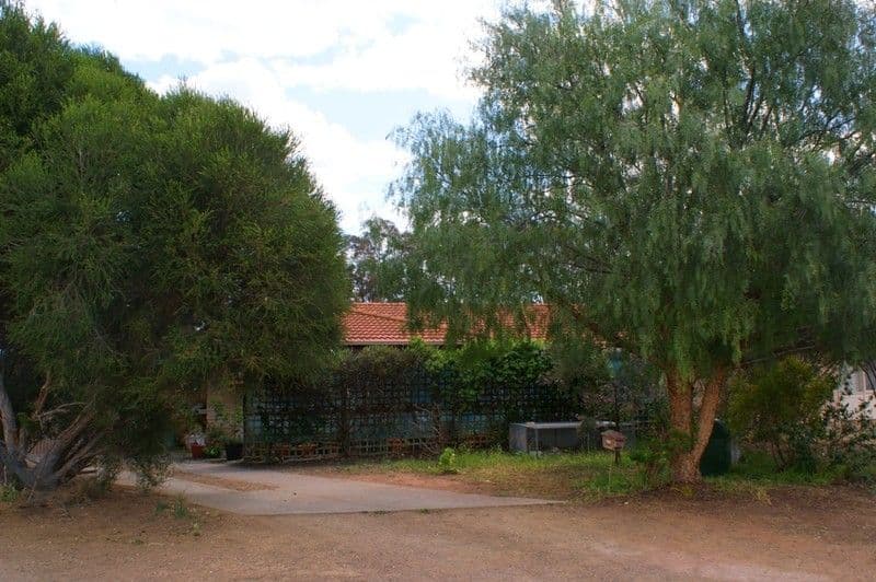 17 Lorikeet Avenue, MURRAY BRIDGE SA 5253, Murray Bridge - Image 1