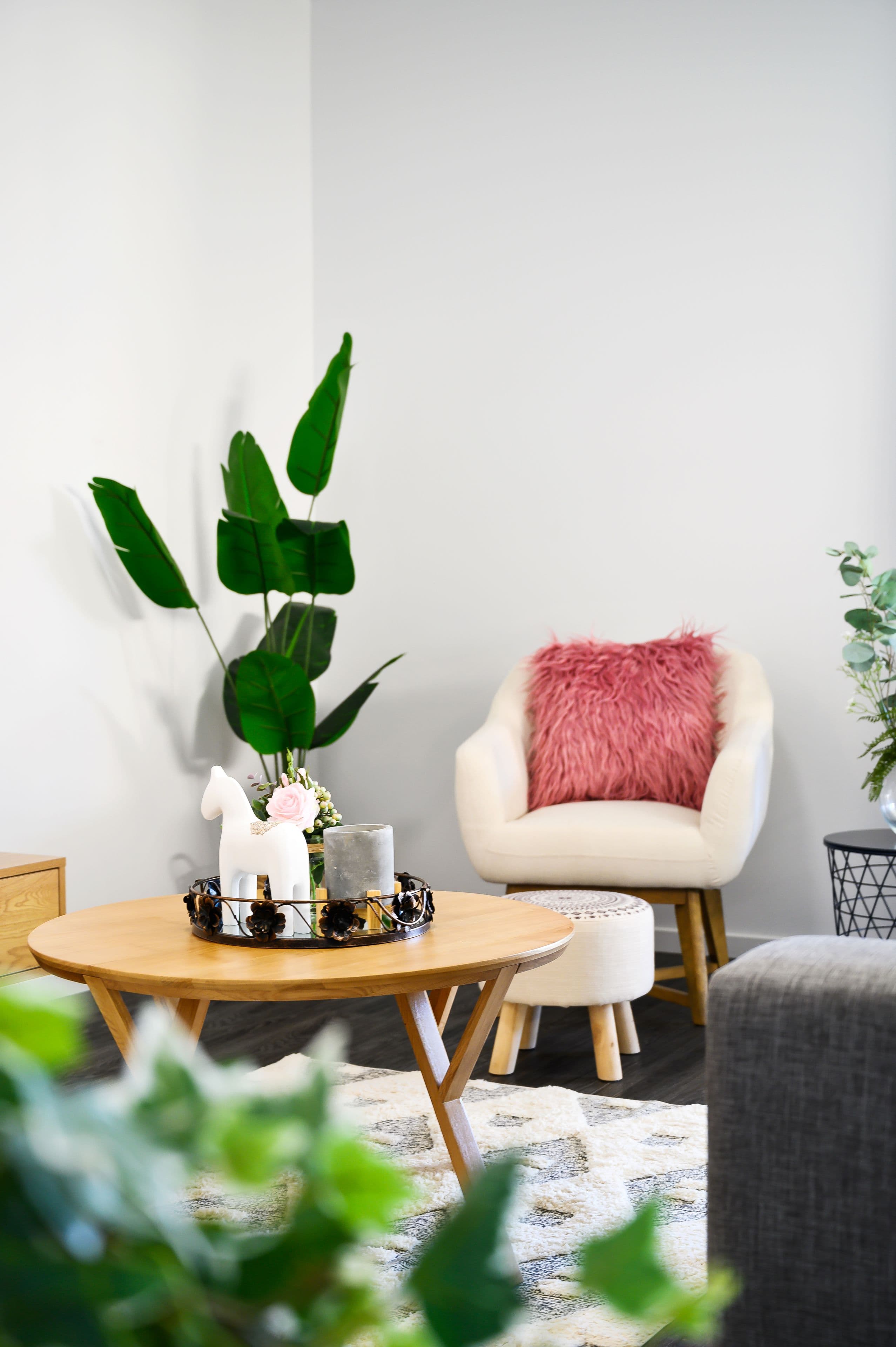 18 Alfred Avenue, Seaton SA 5023, Seaton - Thumbnail 5