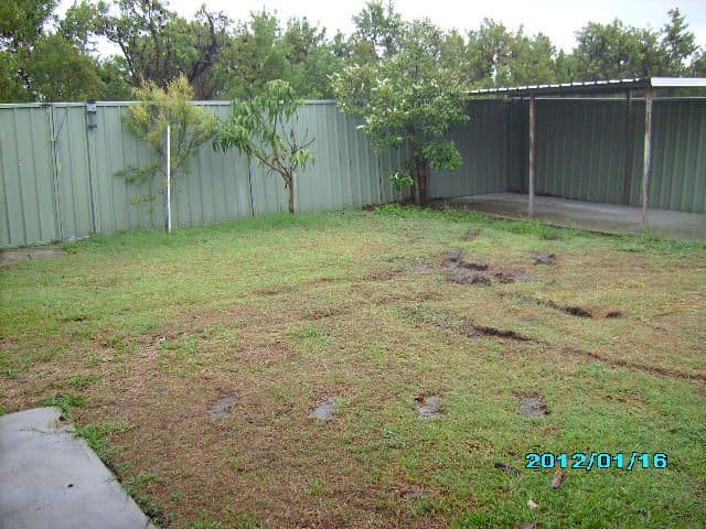 50 Jacaranda Avenue, HOLLYWELL QLD 4216, Hollywell - Thumbnail 6