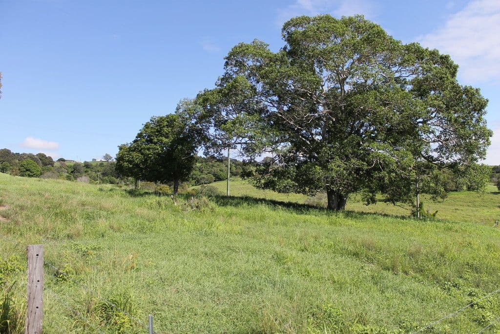 511 Glamorgan Vale Road, Glamorgan Vale QLD 4306, Glamorgan Vale - Thumbnail 2