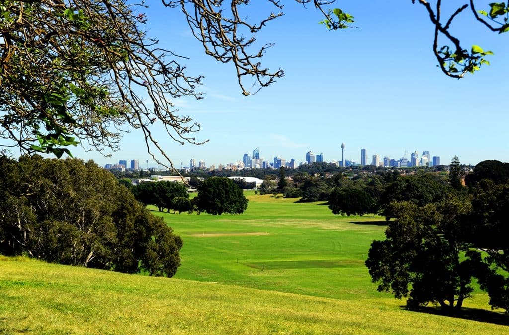 19 Pine Street, RANDWICK NSW 2031, Randwick - Thumbnail 6