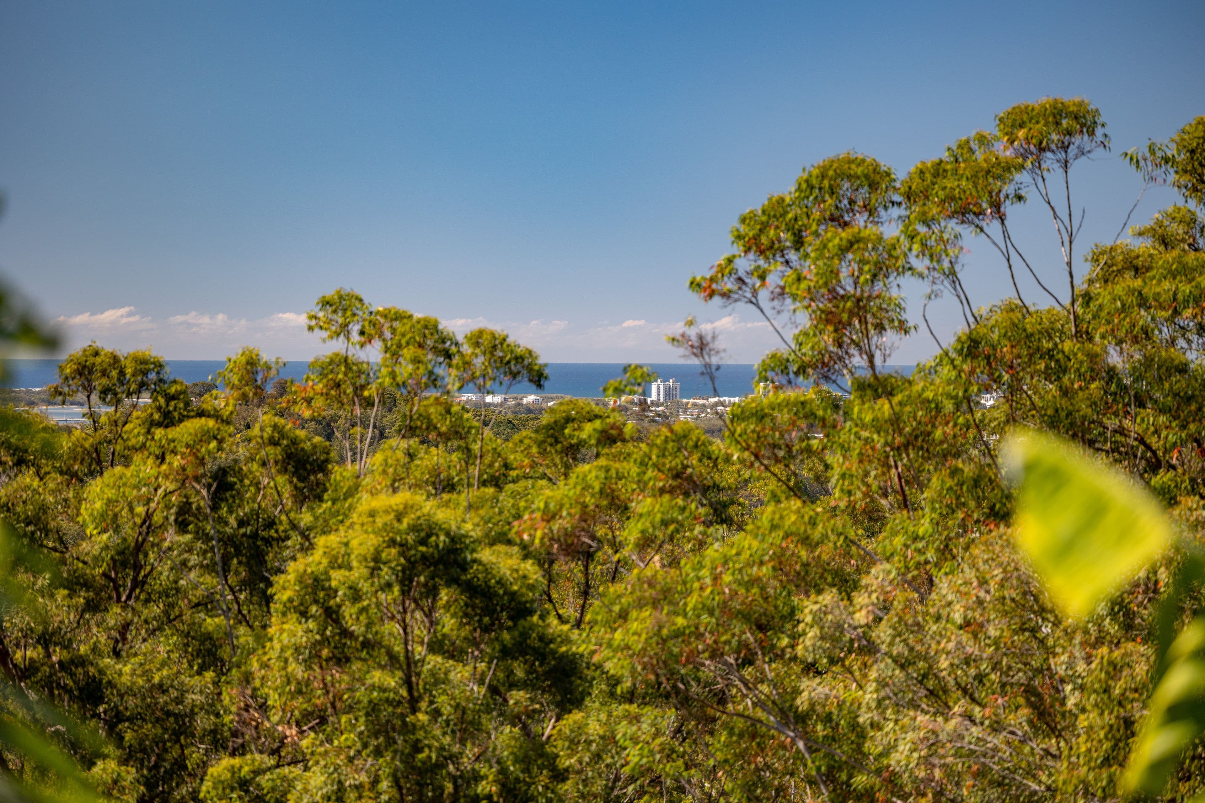319 Kiel Mountain Road, Kiels Mountain QLD 4559, Kiels Mountain - Thumbnail 3