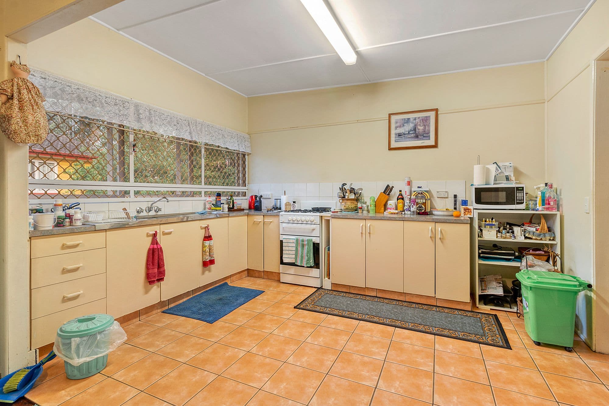 45 Lucan Avenue, Aspley QLD 4034, Aspley - Thumbnail 5