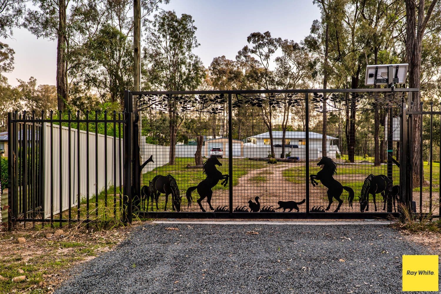 19 Kingfisher Court, Regency Downs QLD 4341, Regency Downs - Thumbnail 4