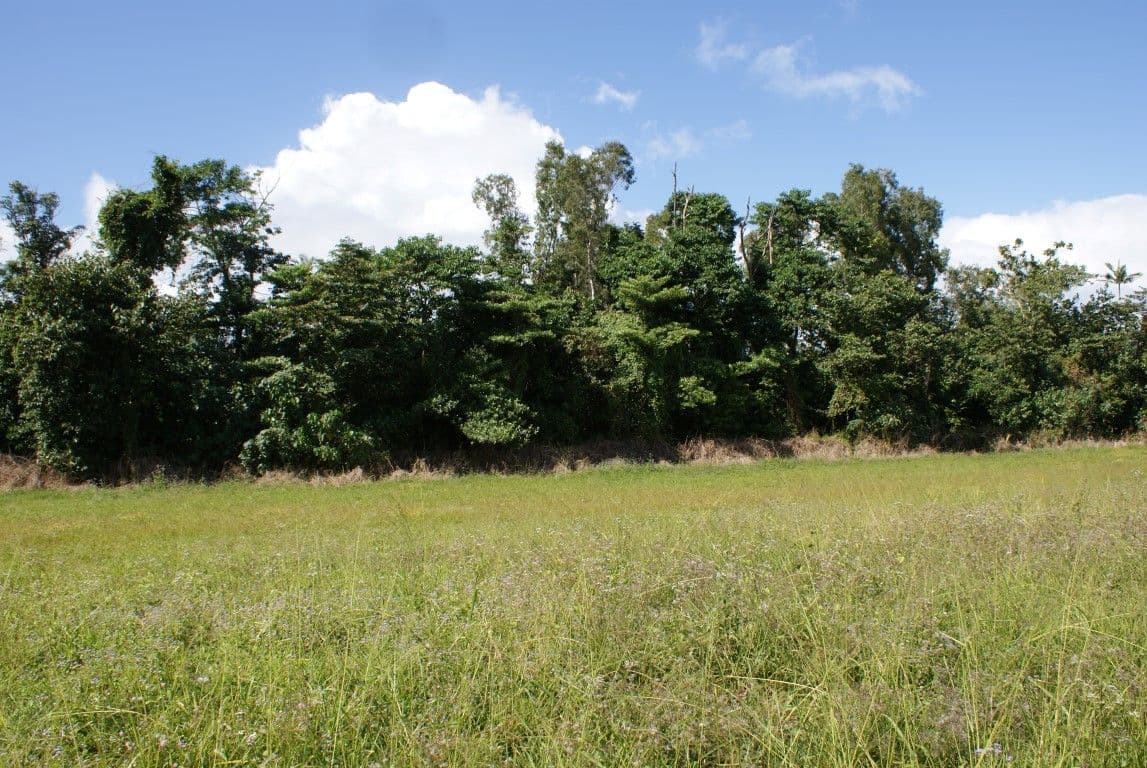 Lot 136 Iluka Close, MISSION BEACH QLD 4852, Mission Beach - Image 1