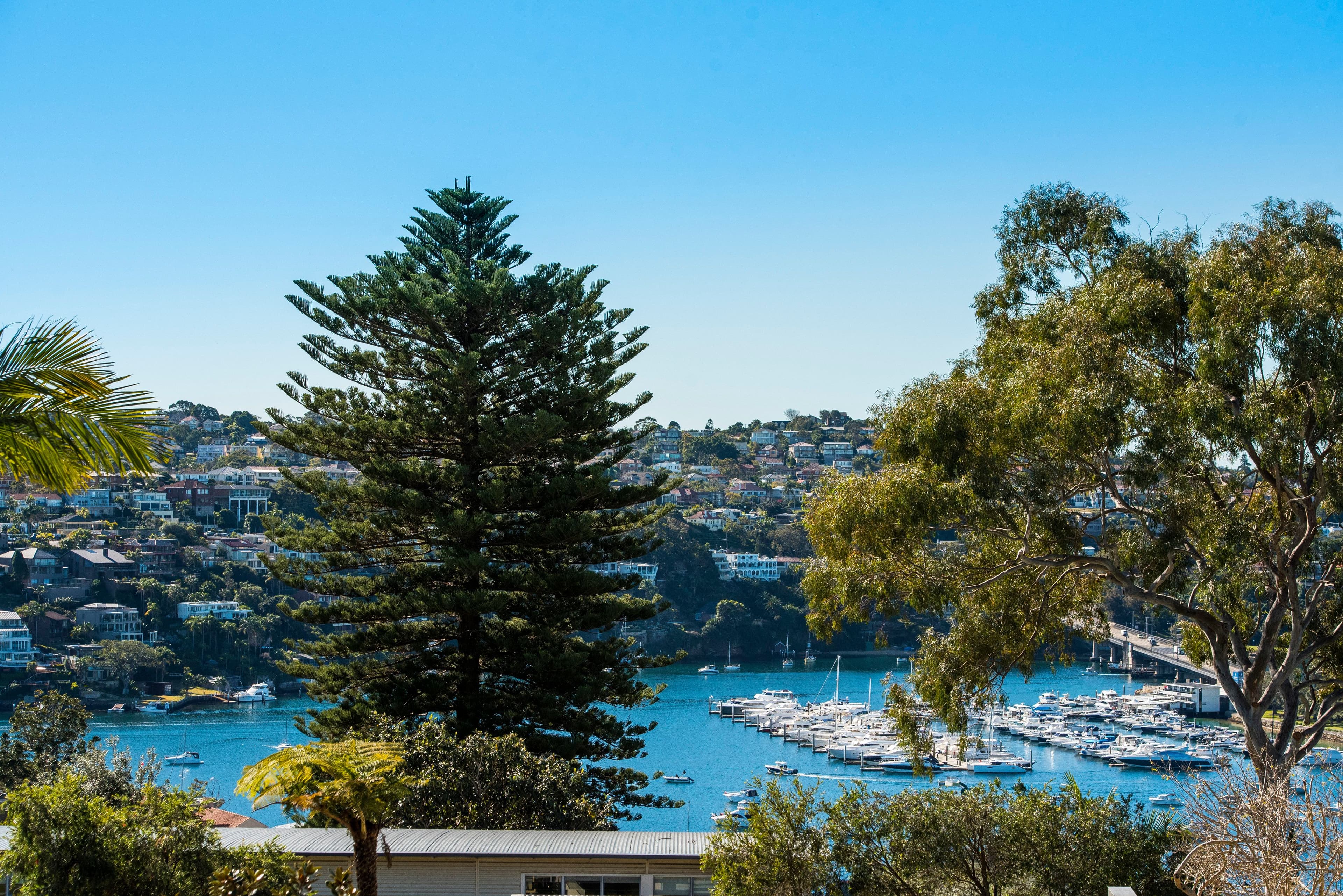 25 Medusa Street, Mosman - Thumbnail 4