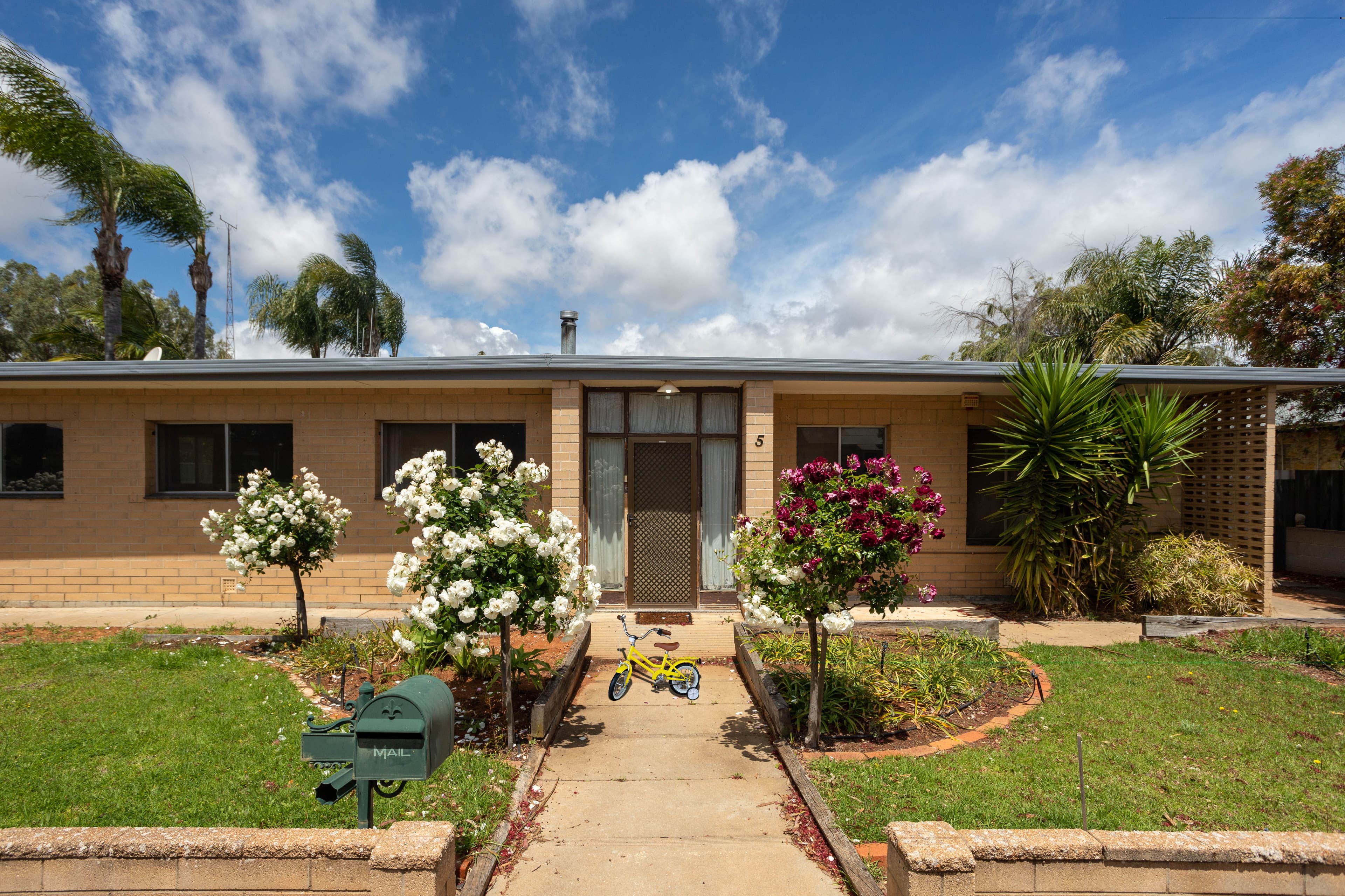 5 Farmer Street, Barmera SA 5345, Barmera - Image 1