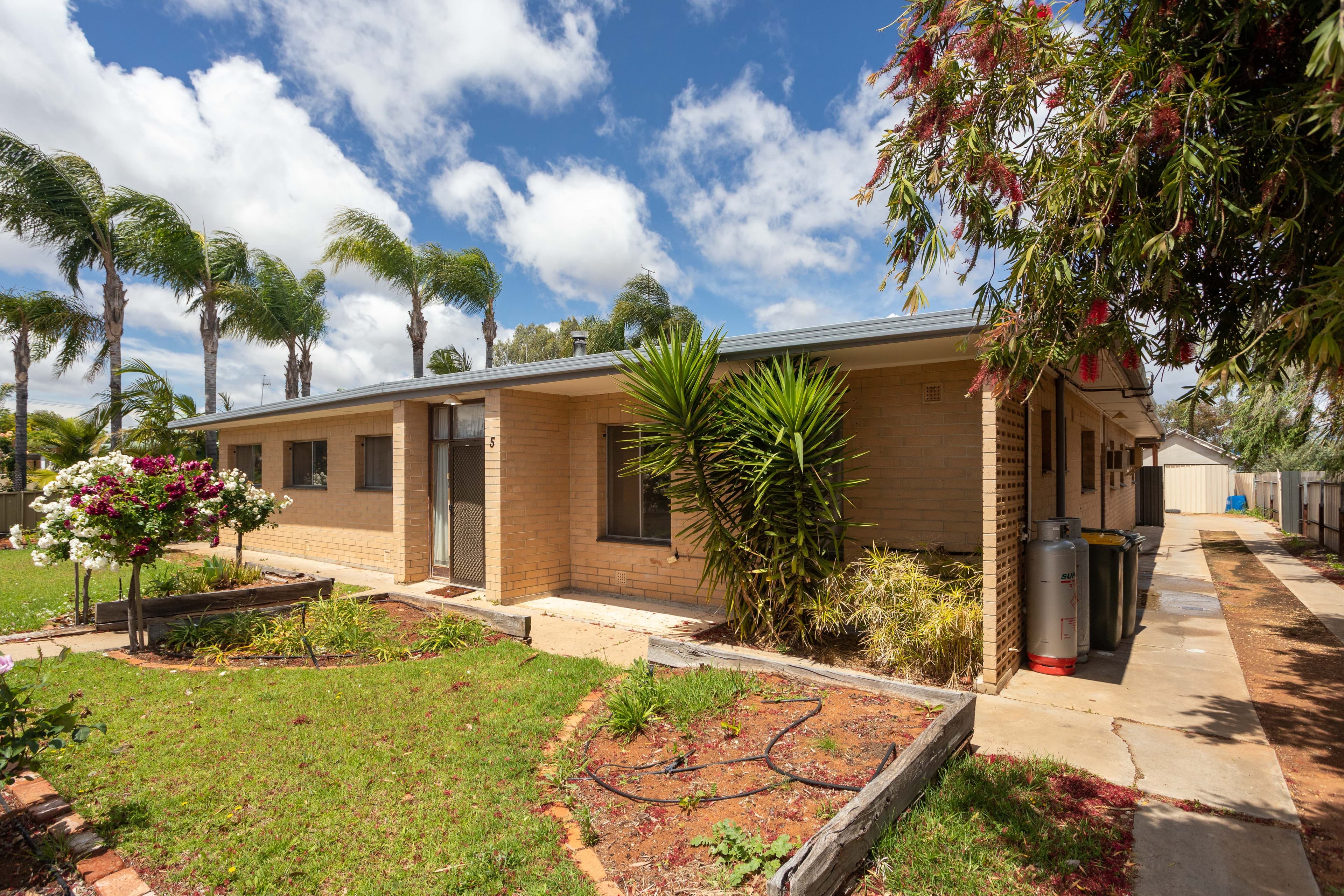 5 Farmer Street, Barmera SA 5345, Barmera - Thumbnail 2