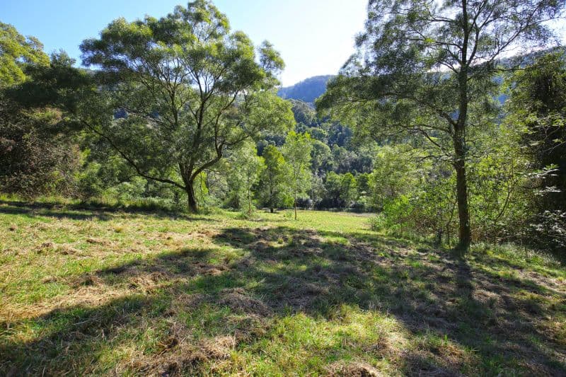 265B Bundewallah Road, Bundewallah NSW 2535, Bundewallah - Thumbnail 2