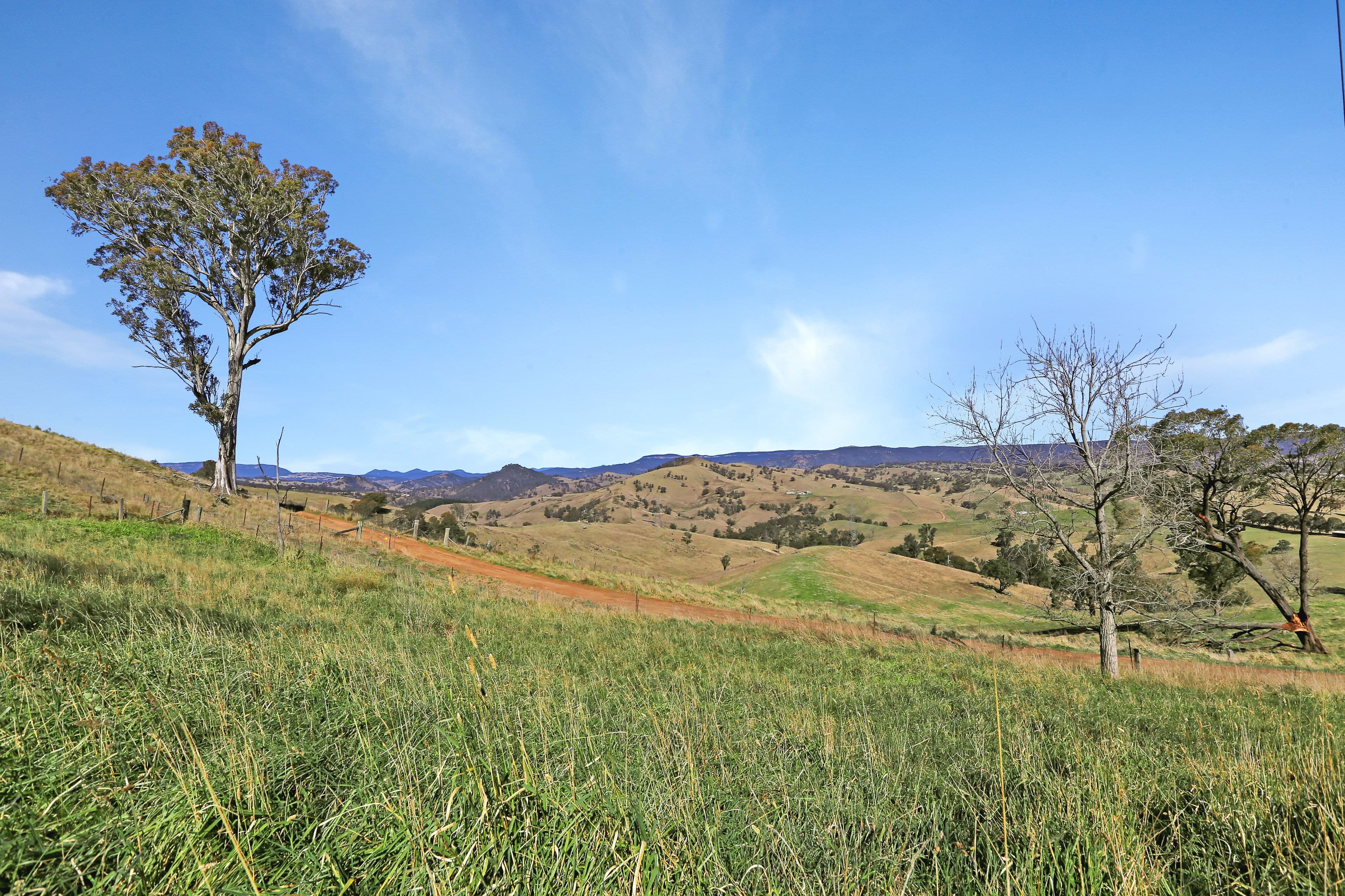 1197 Ganbenang Road, Hartley NSW 2790, Hartley - Thumbnail 7