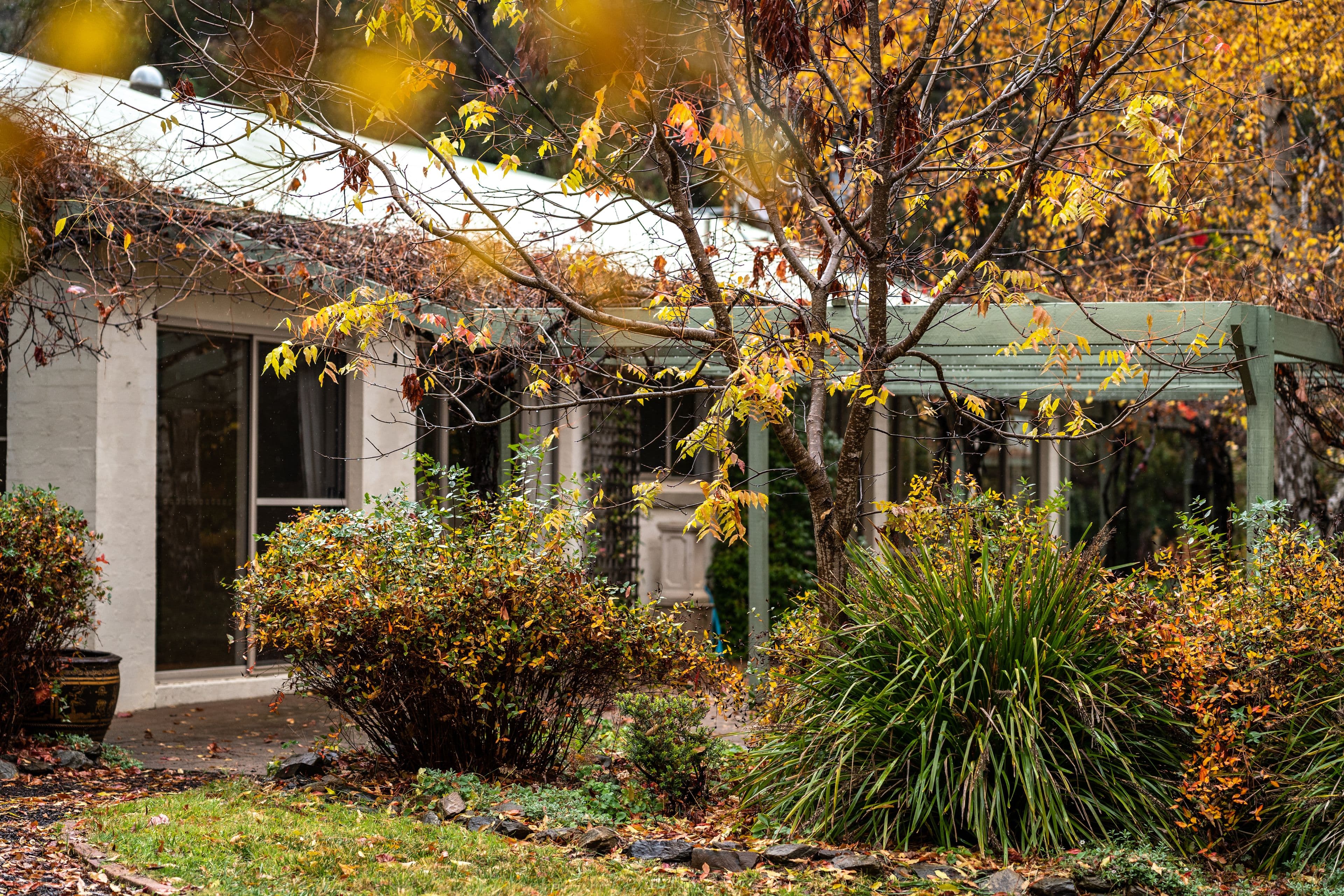 40 Molonglo Place, Carwoola NSW 2620, Carwoola - Image 1