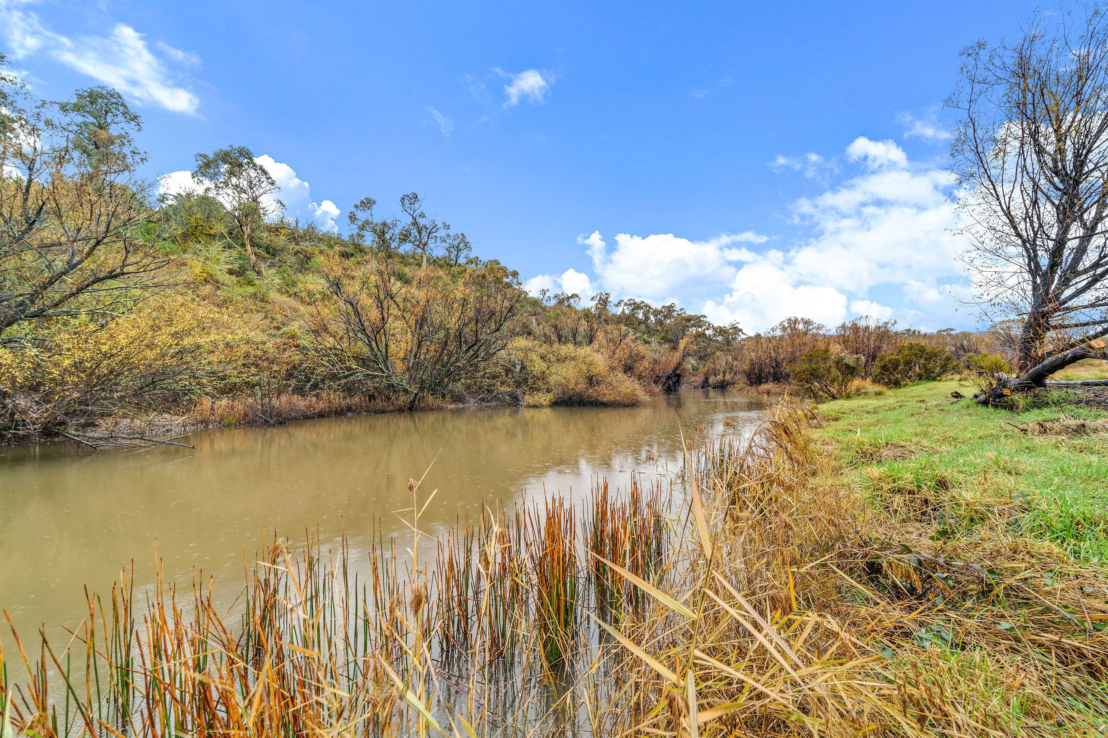 40 Molonglo Place, Carwoola NSW 2620, Carwoola - Thumbnail 2
