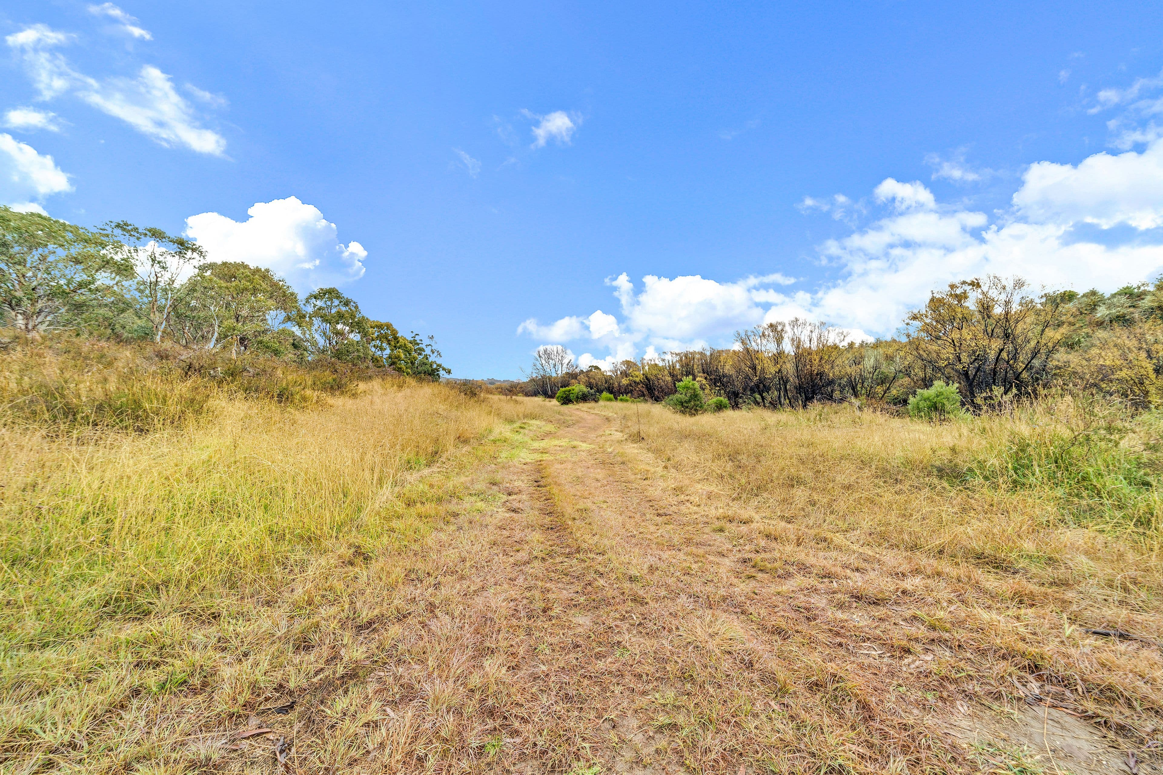40 Molonglo Place, Carwoola NSW 2620, Carwoola - Thumbnail 3
