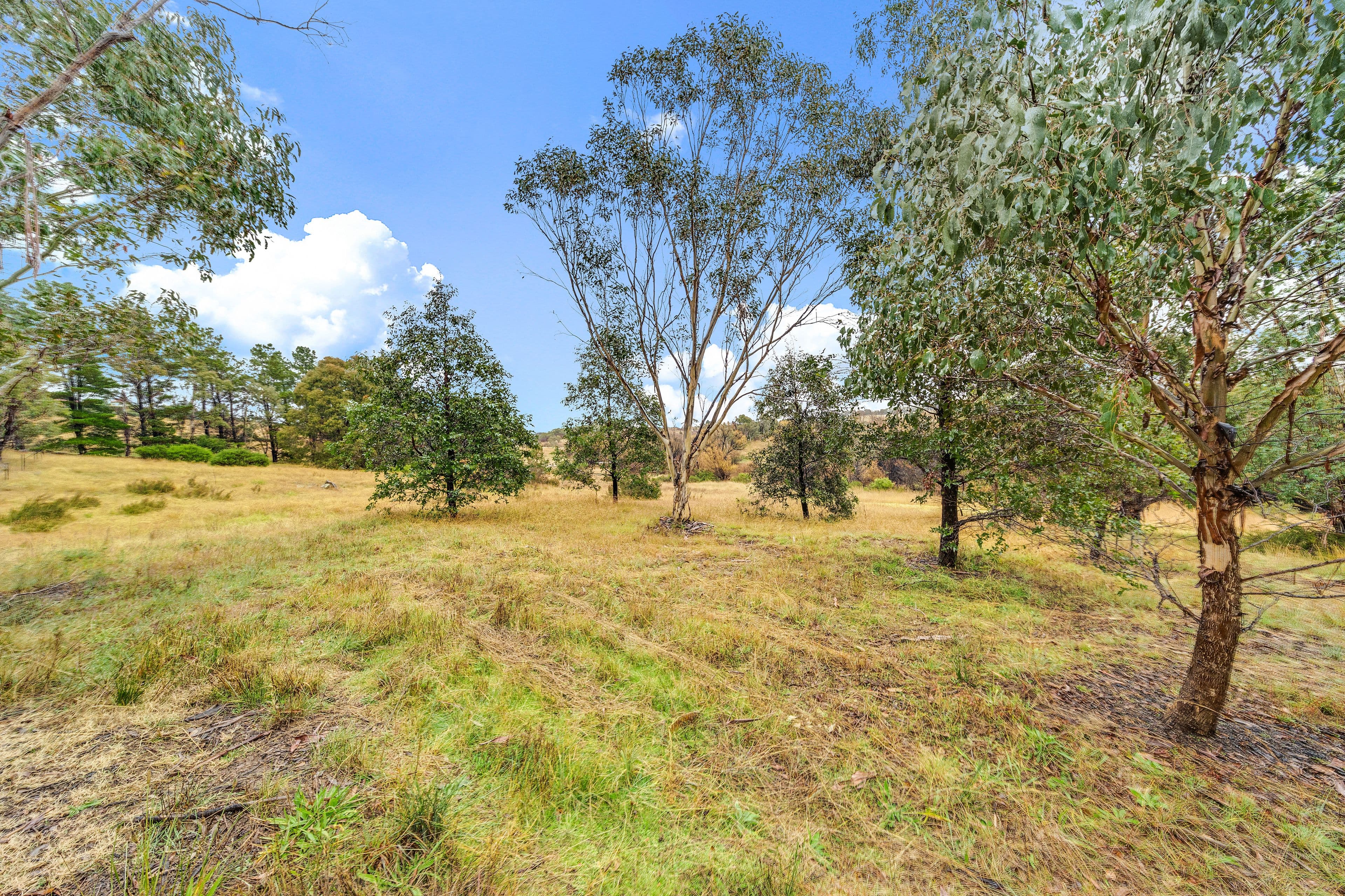 40 Molonglo Place, Carwoola NSW 2620, Carwoola - Thumbnail 4