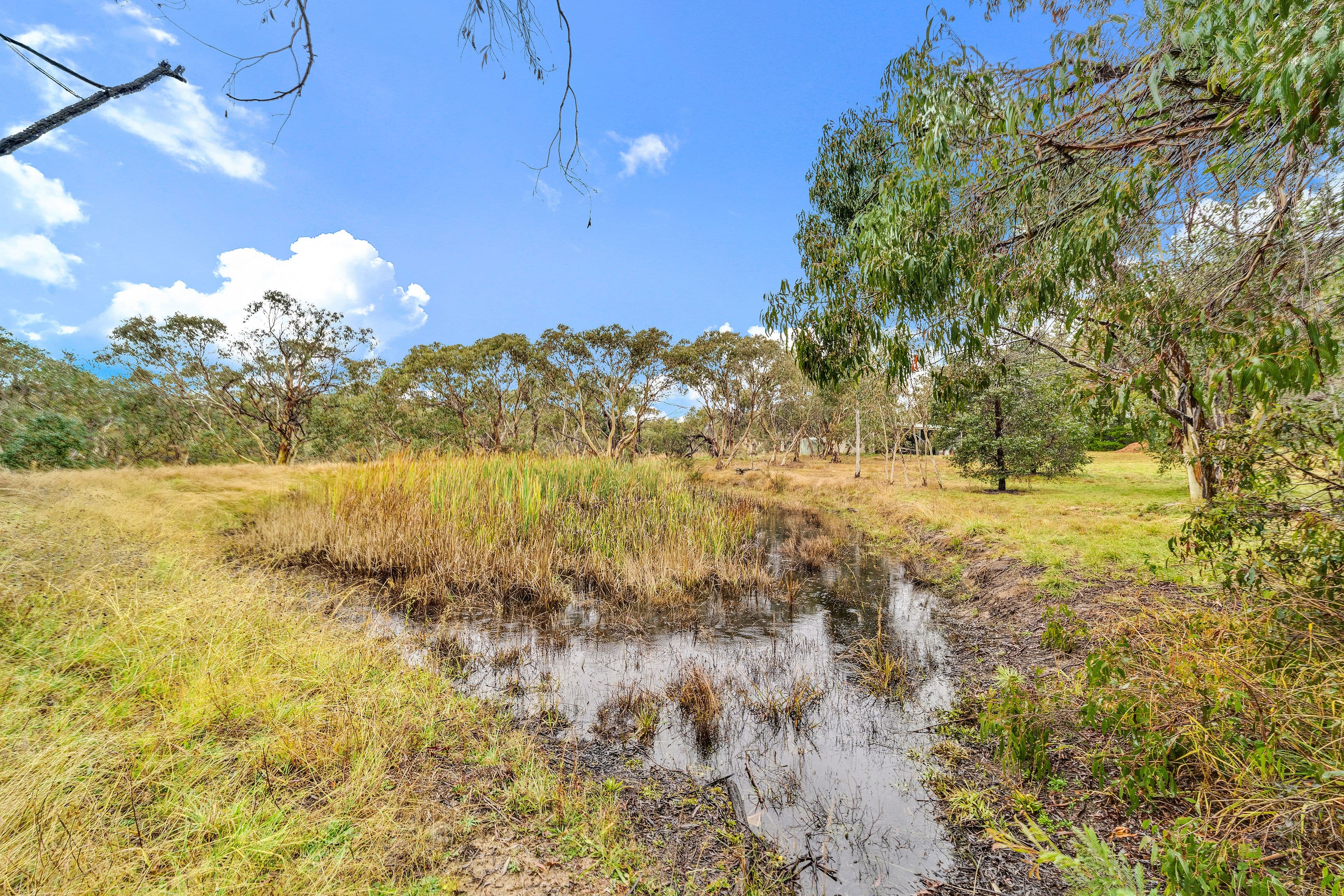 40 Molonglo Place, Carwoola NSW 2620, Carwoola - Thumbnail 5