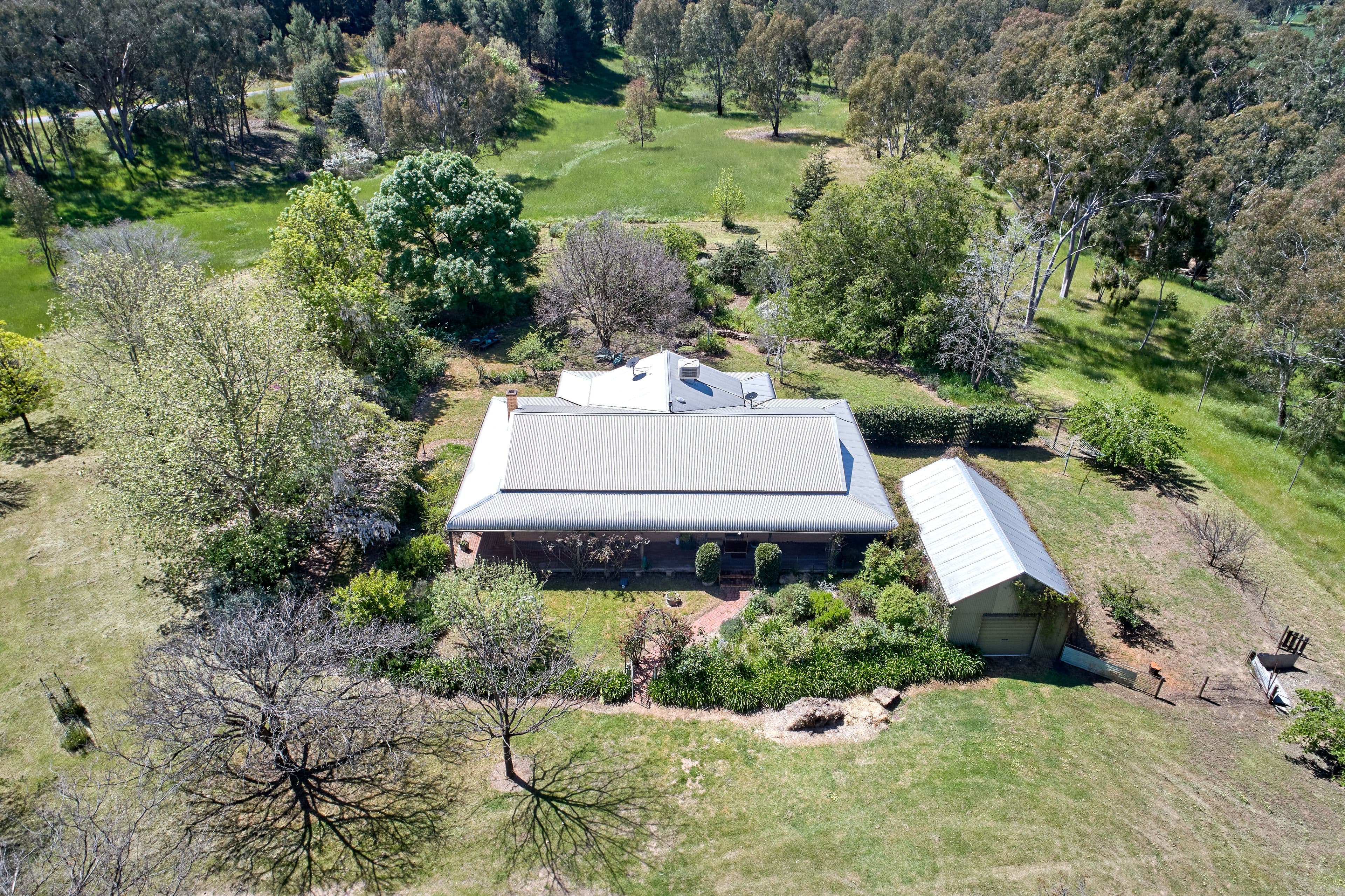 240 Old Trunk Road, The Rock NSW 2655, The Rock - Thumbnail 2