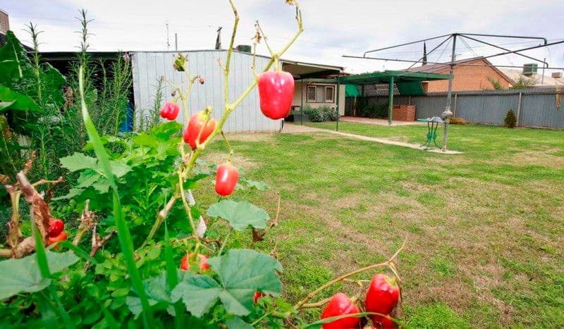 21 Richmond Avenue, Bundall, QLD, 4217, Bundall - Thumbnail 3