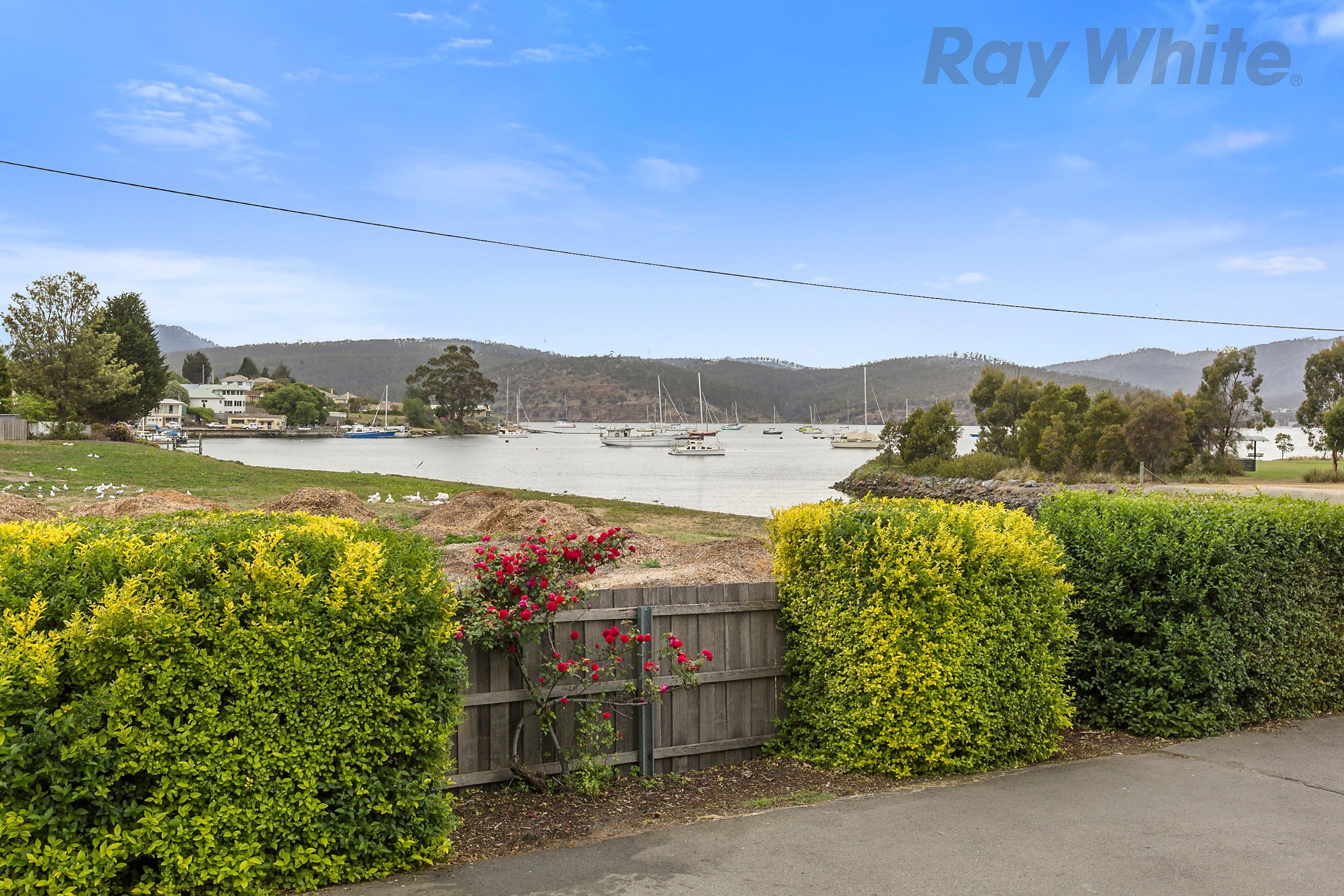 109 Risdon Road, Lutana TAS 7009, Lutana - Thumbnail 2
