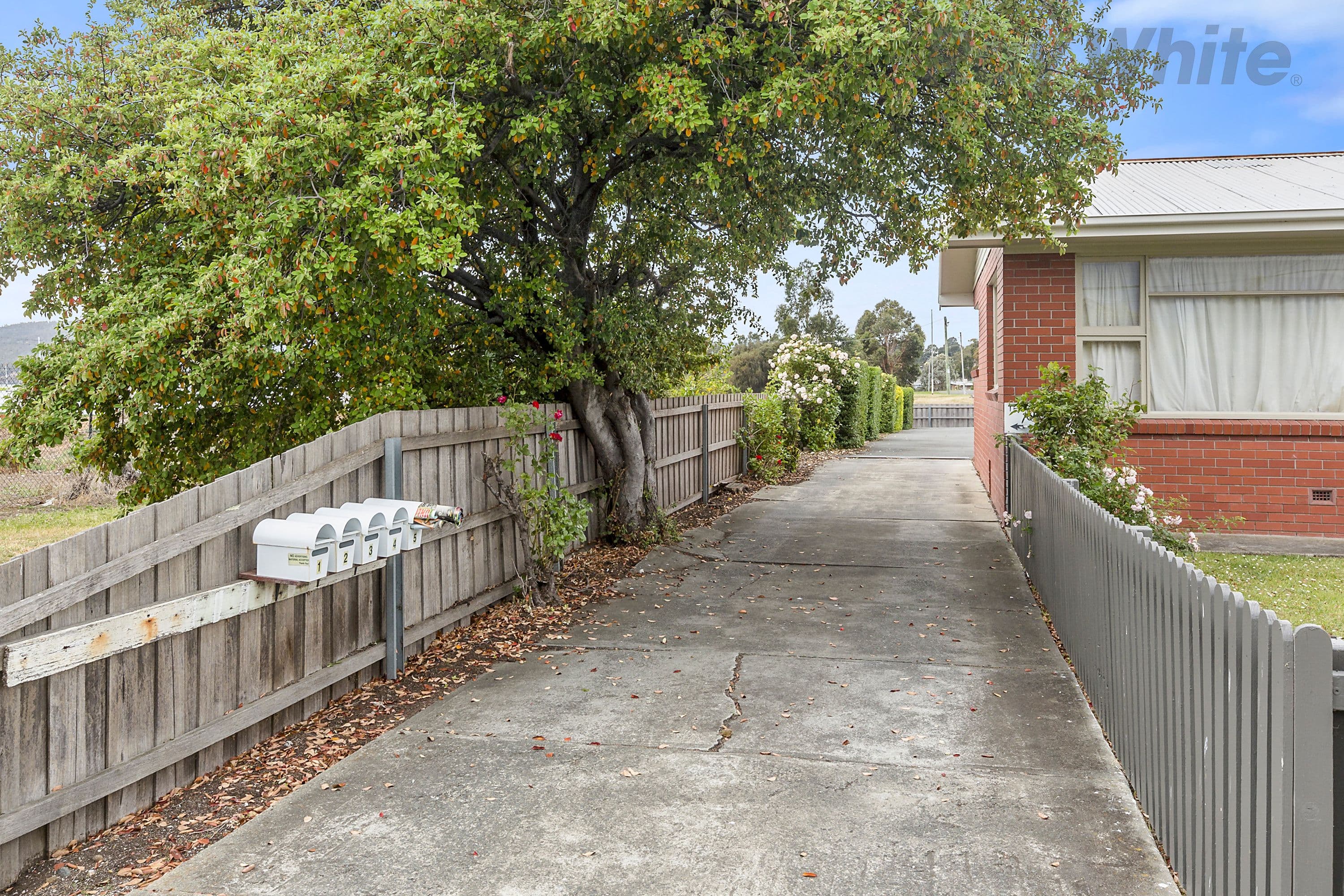 109 Risdon Road, Lutana TAS 7009, Lutana - Thumbnail 3