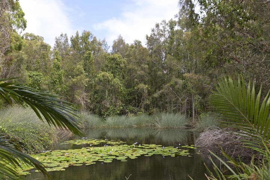 Lot 16, 22-24 South Street, Thornlands QLD 4164, Thornlands - Thumbnail 4