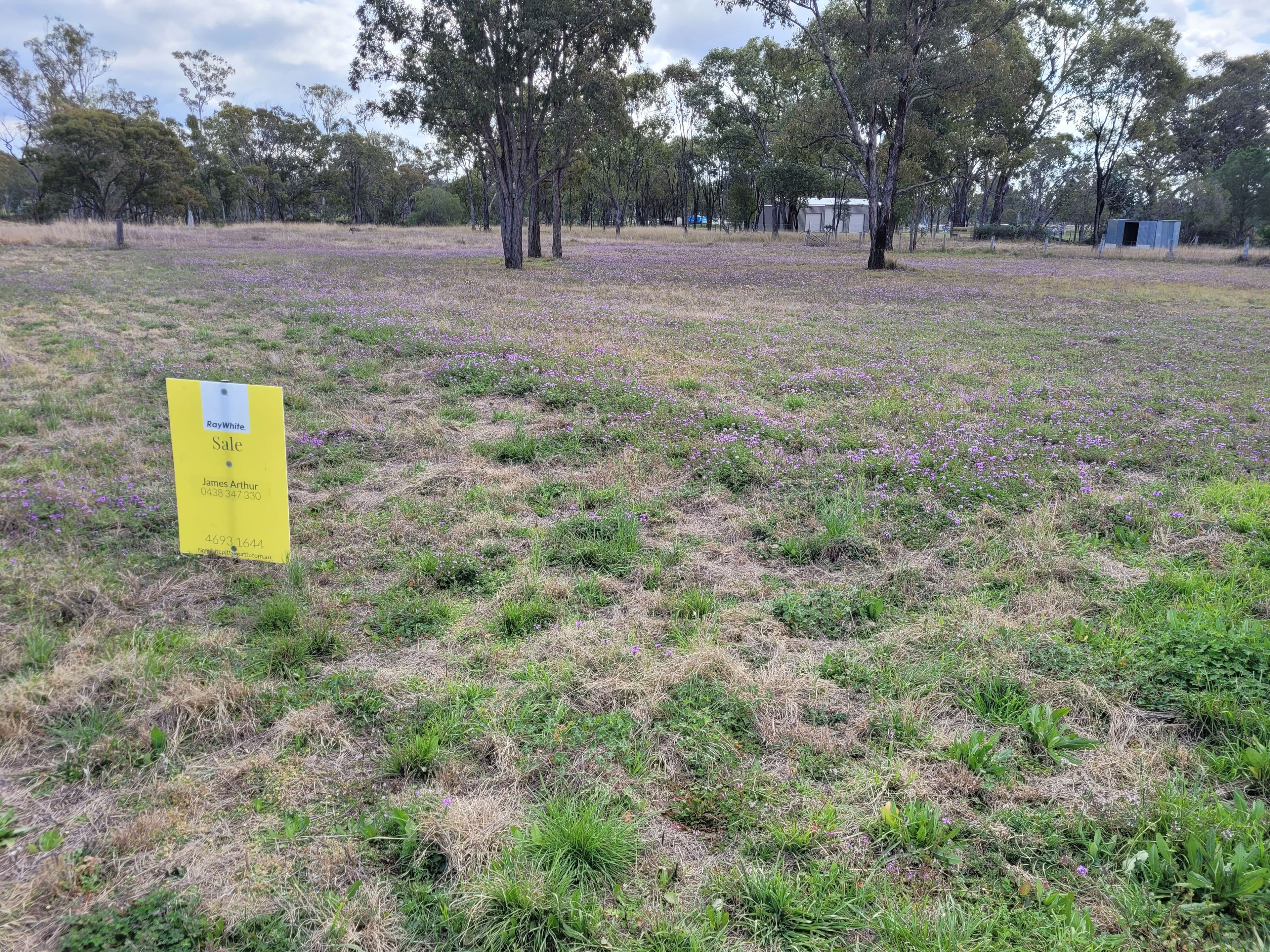 Drayton Street, Leyburn QLD 4365, Leyburn - Thumbnail 3