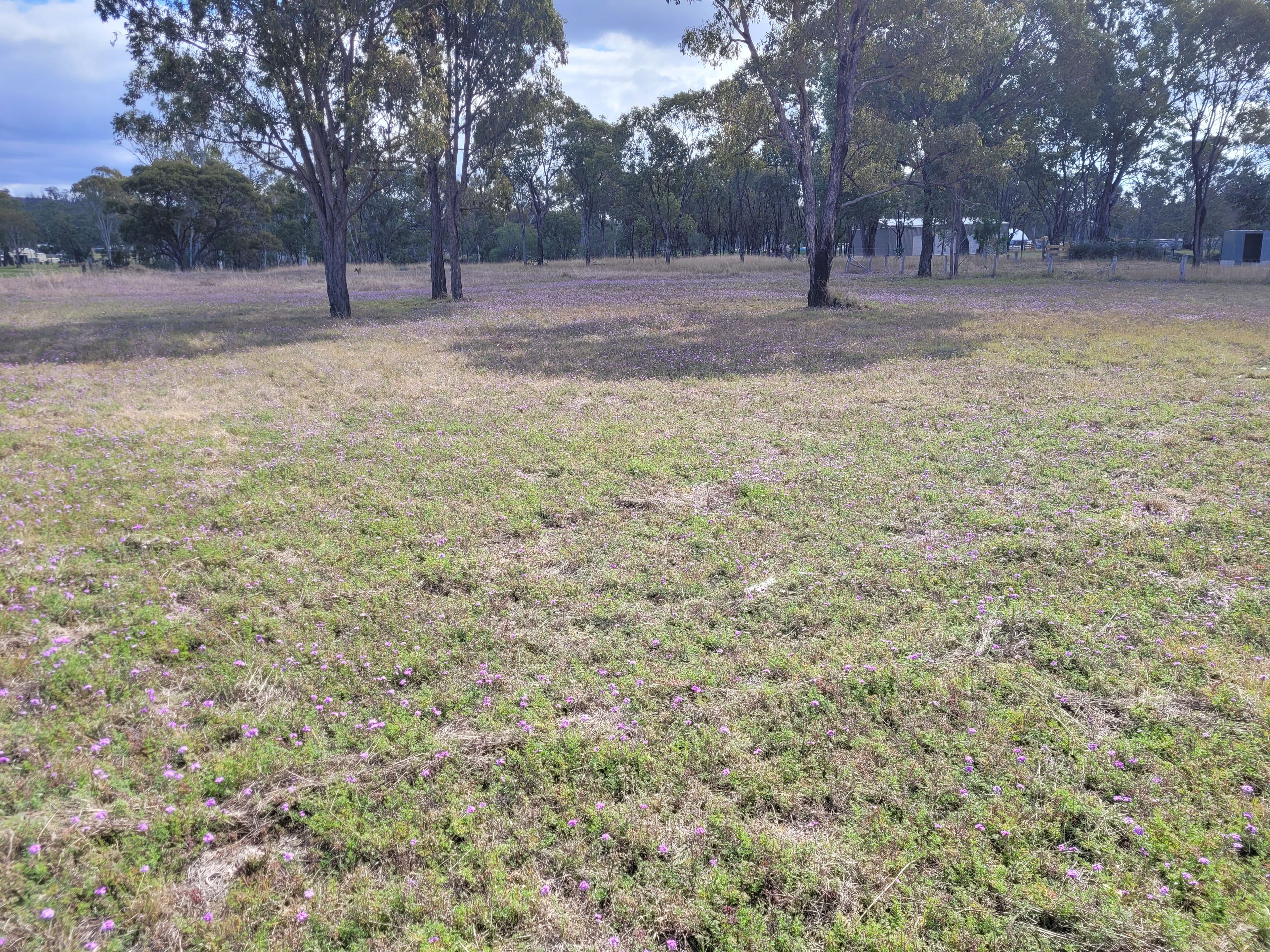 Drayton Street, Leyburn QLD 4365, Leyburn - Thumbnail 8