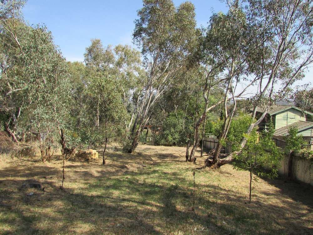 555 Roper Street, Albury NSW 2640, West Albury - Thumbnail 4