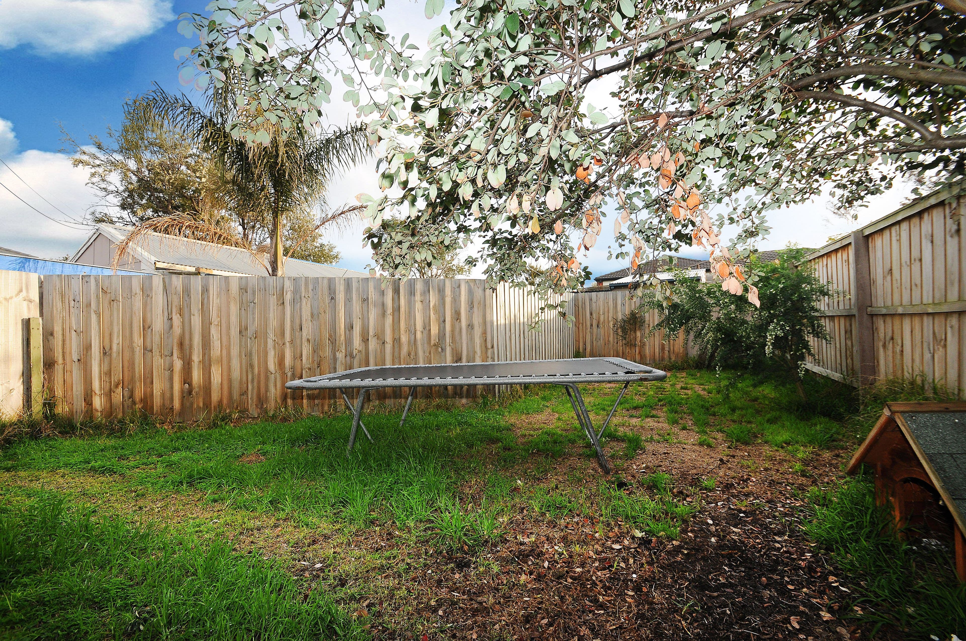 62 Patterson Street, Bonbeach VIC 3196, Bonbeach - Thumbnail 4