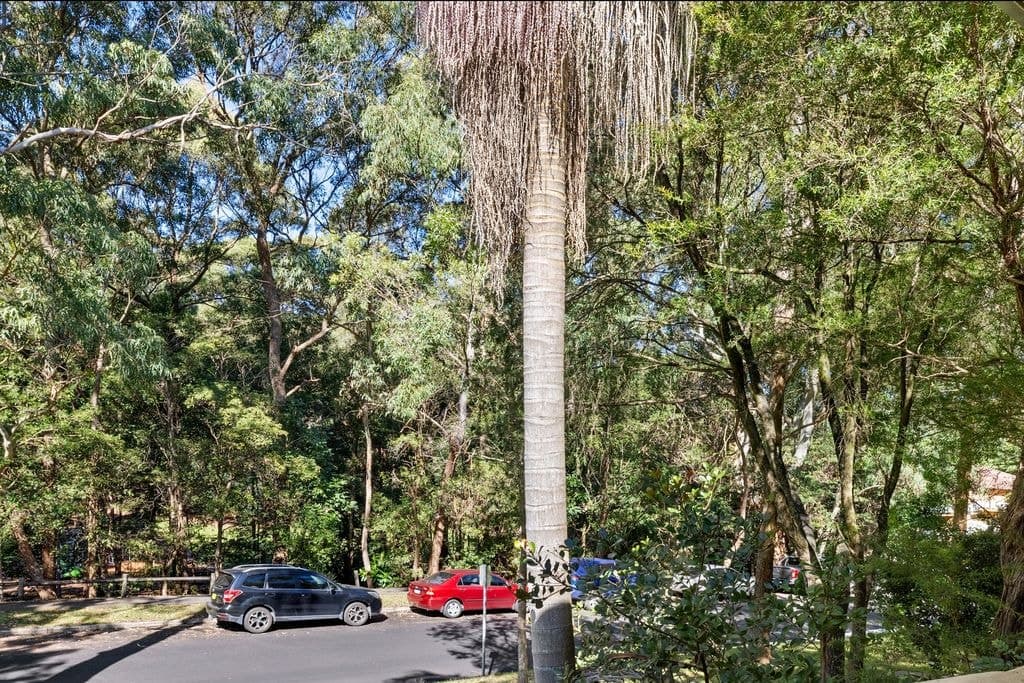 7-9 Lynvale Close, Lane Cove - Thumbnail 7