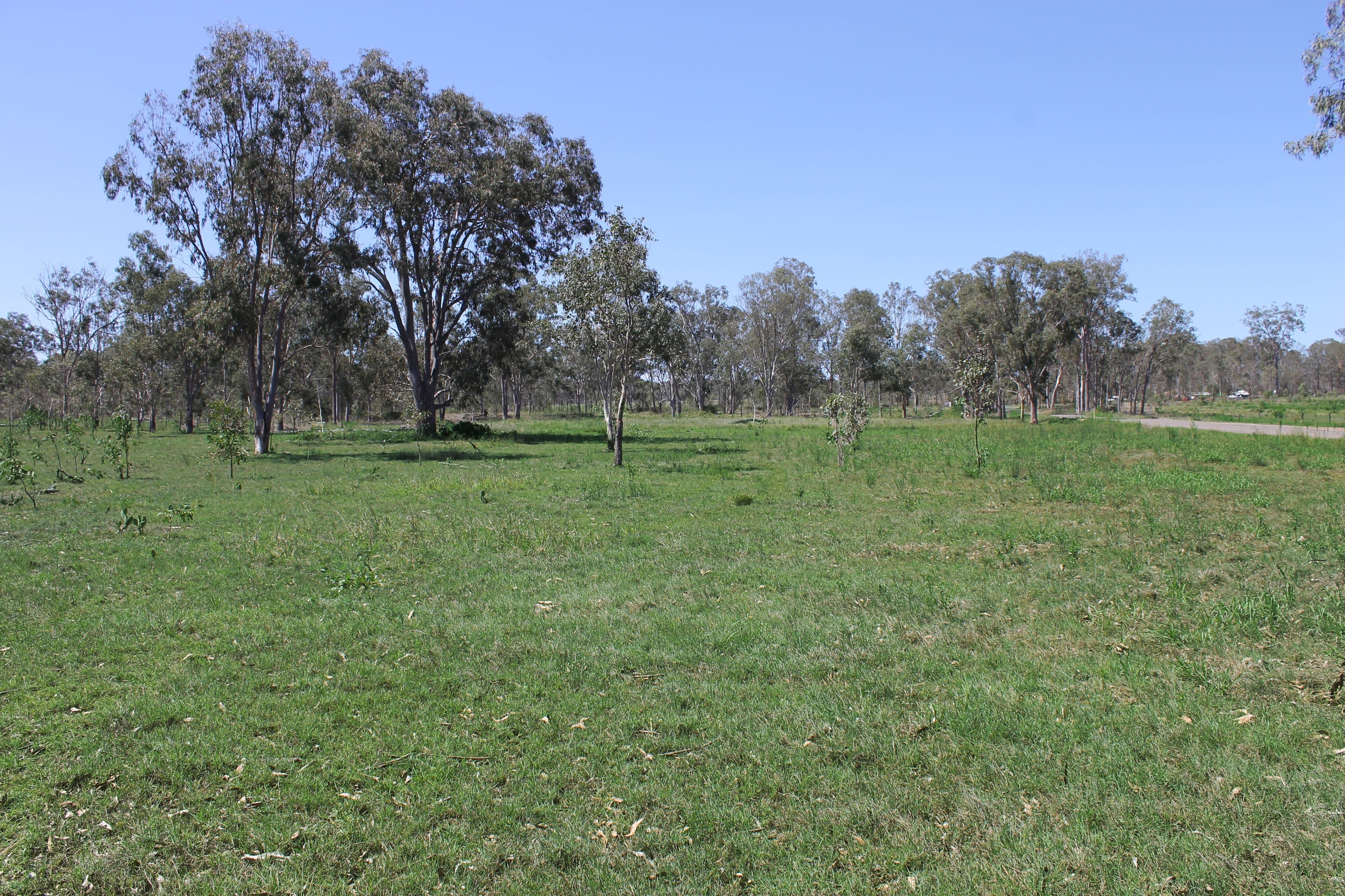 202 Banffs Lane, Coominya QLD 4311, Coominya - Thumbnail 2