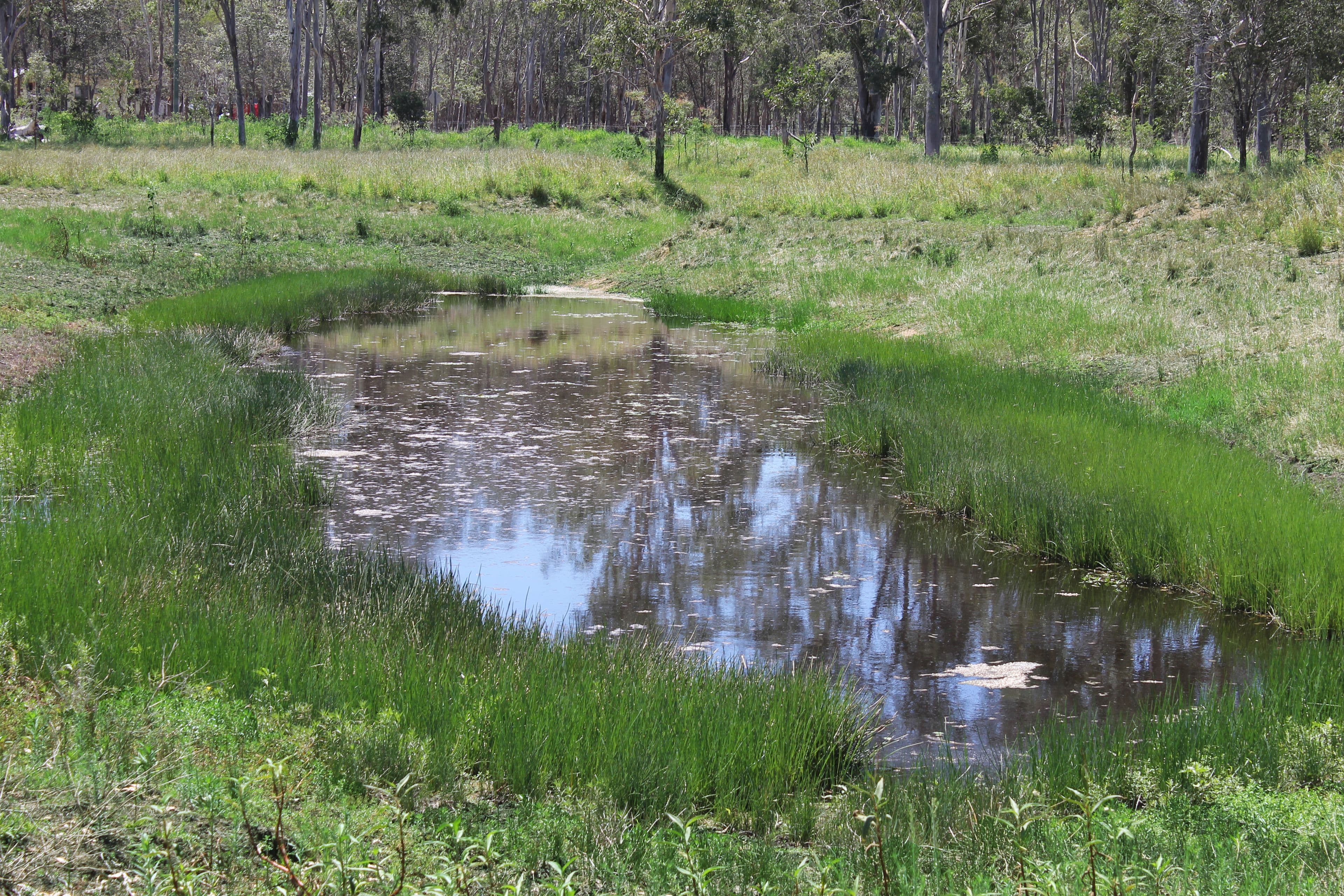 202 Banffs Lane, Coominya QLD 4311, Coominya - Thumbnail 3