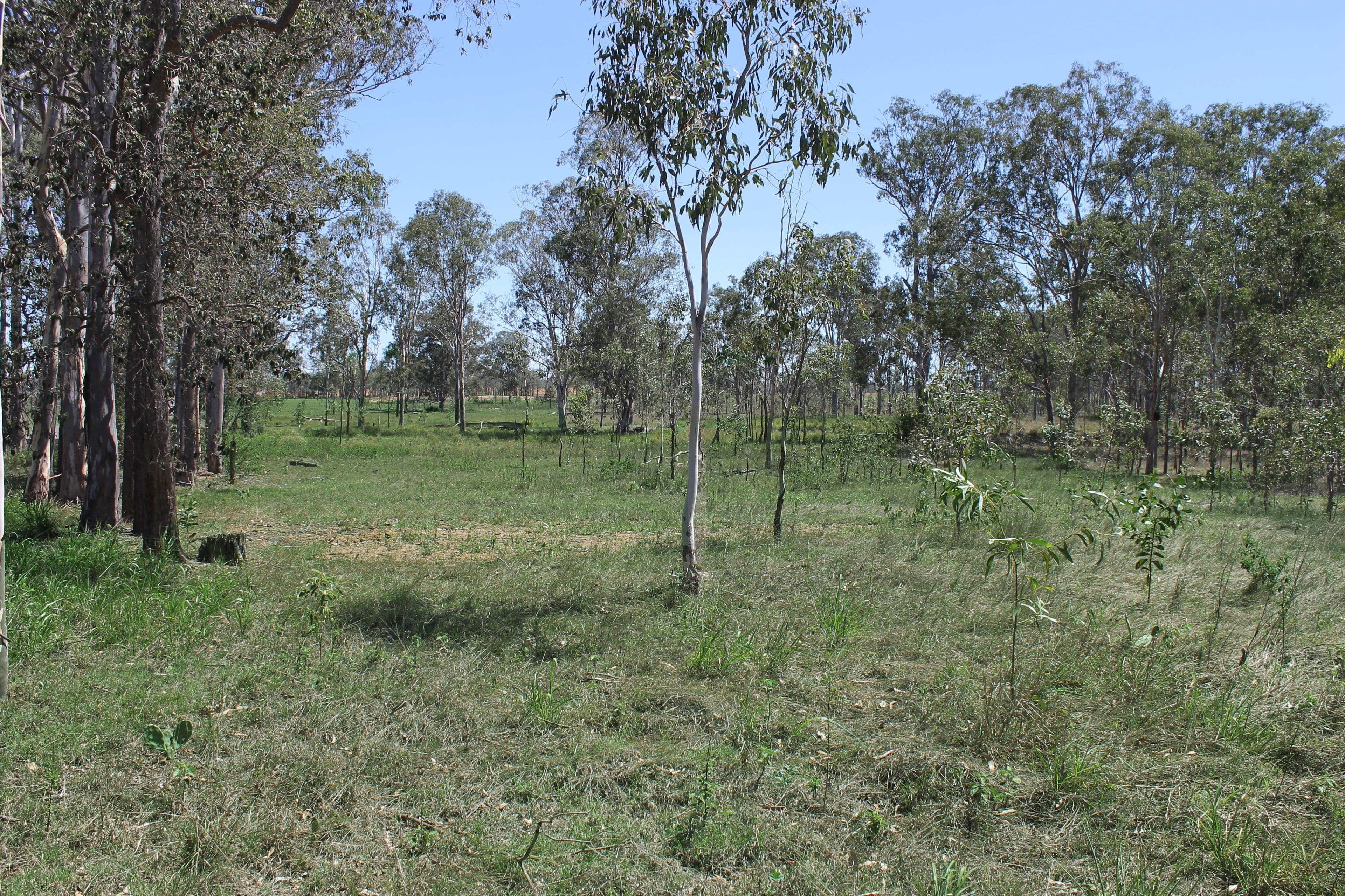 202 Banffs Lane, Coominya QLD 4311, Coominya - Thumbnail 6
