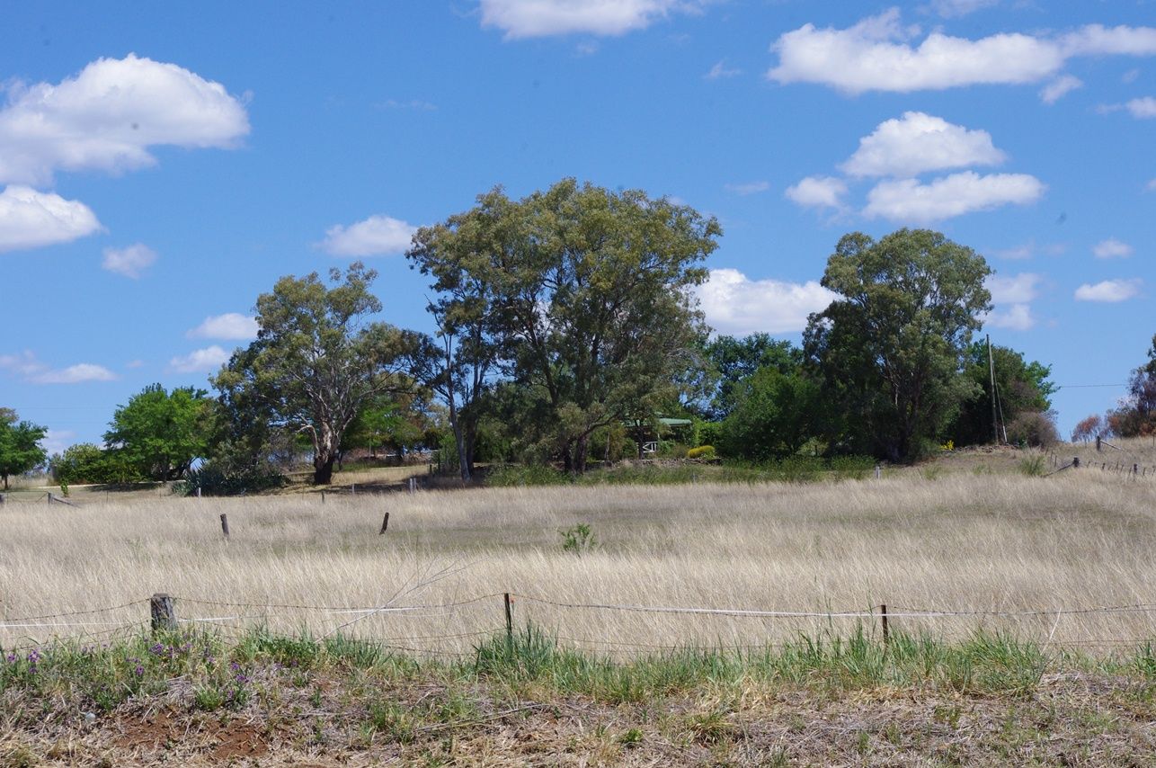 204 Swanbrook Road, INVERELL NSW 2360, Inverell - Thumbnail 7