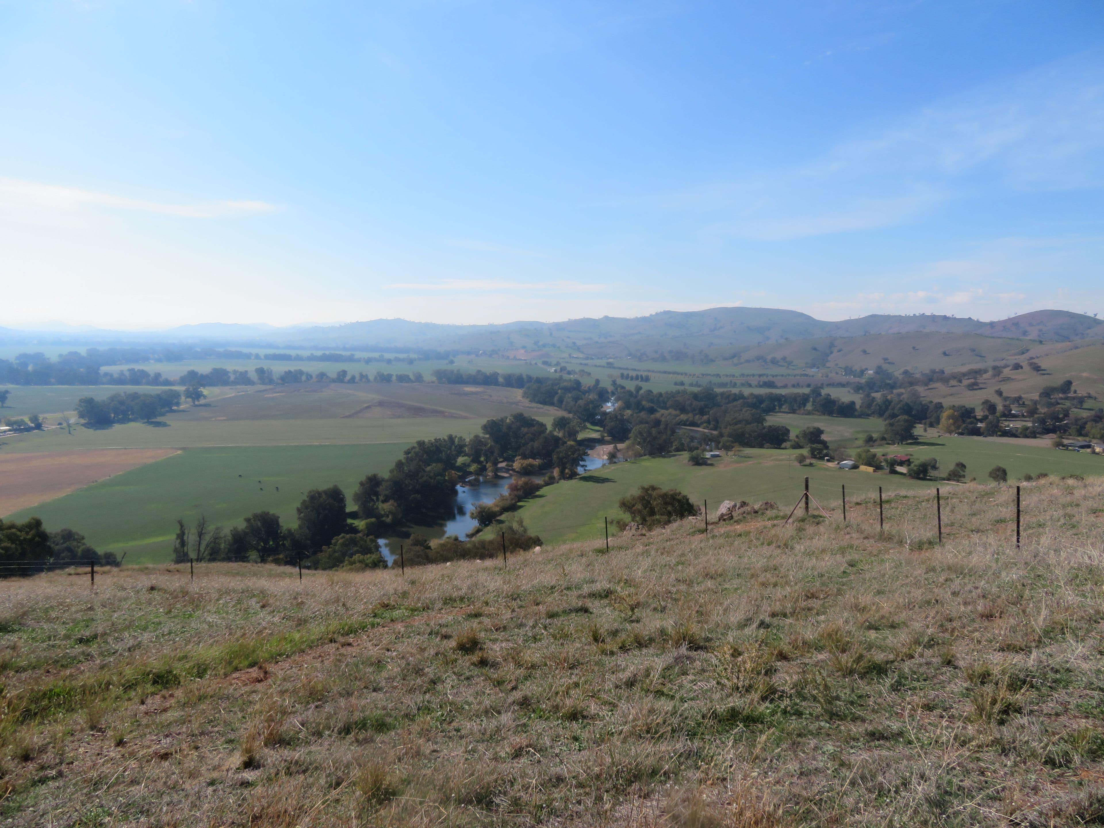 Lot 8 Springfield Lane, Gundagai NSW 2722, South Gundagai - Image 1