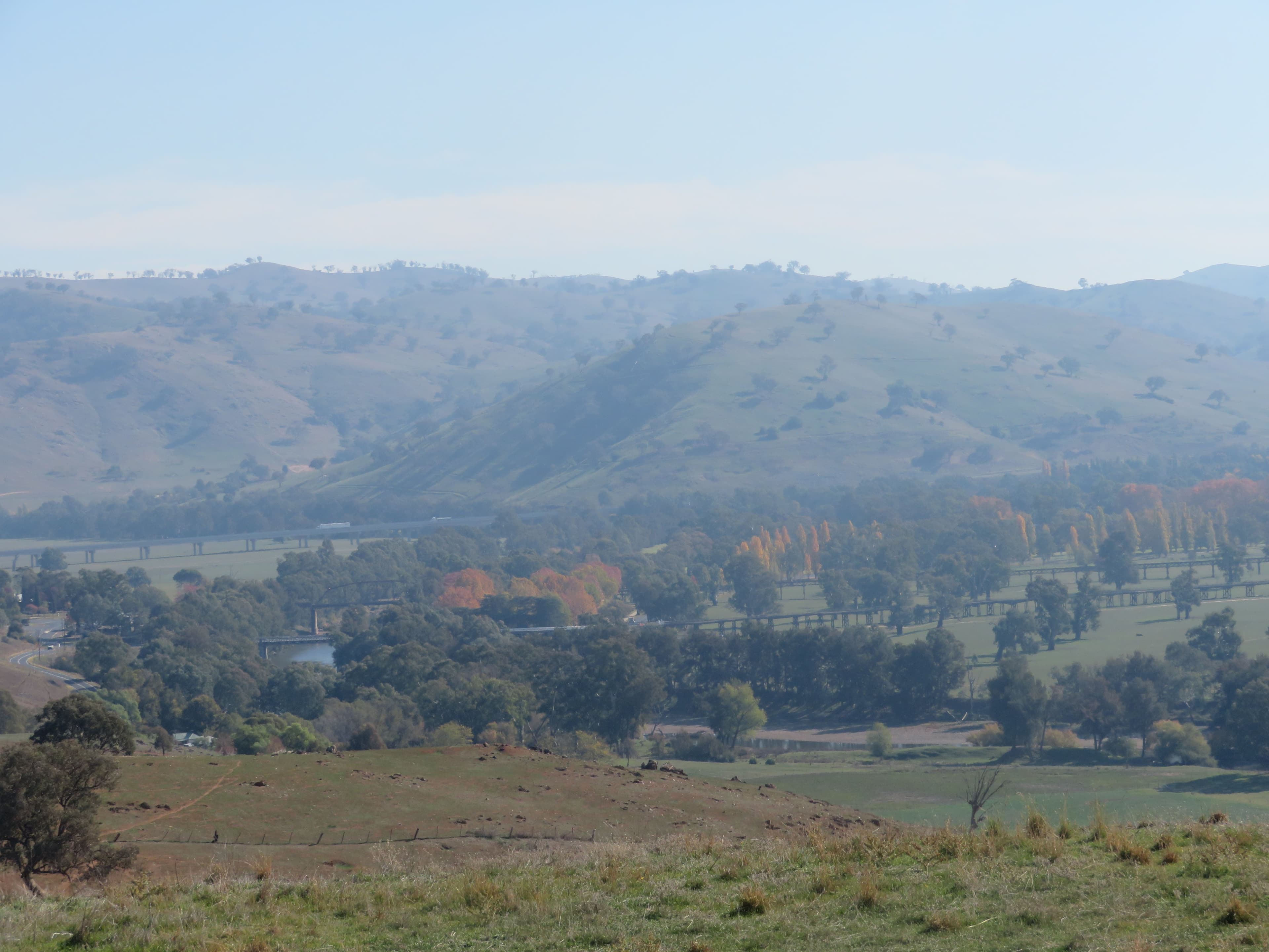 Lot 8 Springfield Lane, Gundagai NSW 2722, South Gundagai - Thumbnail 2