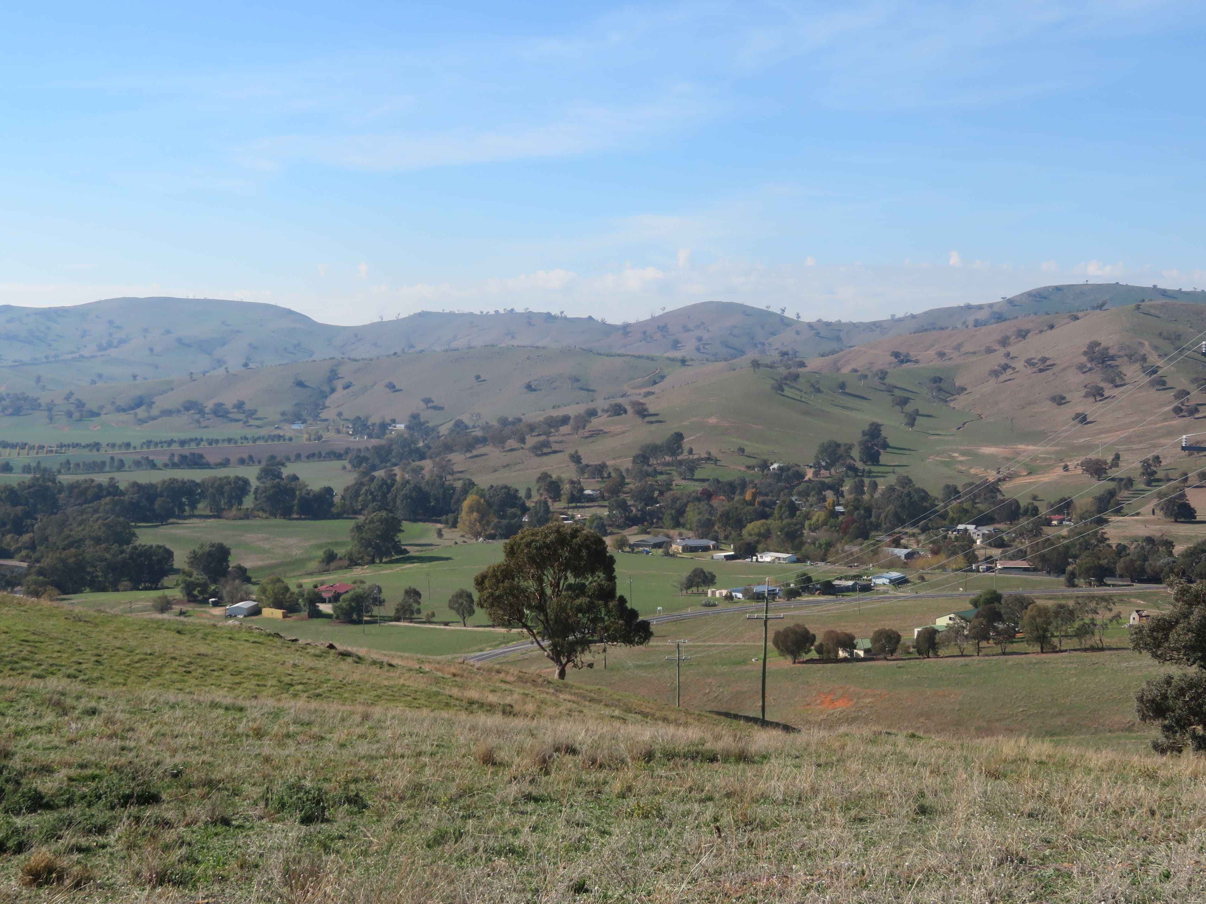 Lot 8 Springfield Lane, Gundagai NSW 2722, South Gundagai - Thumbnail 3