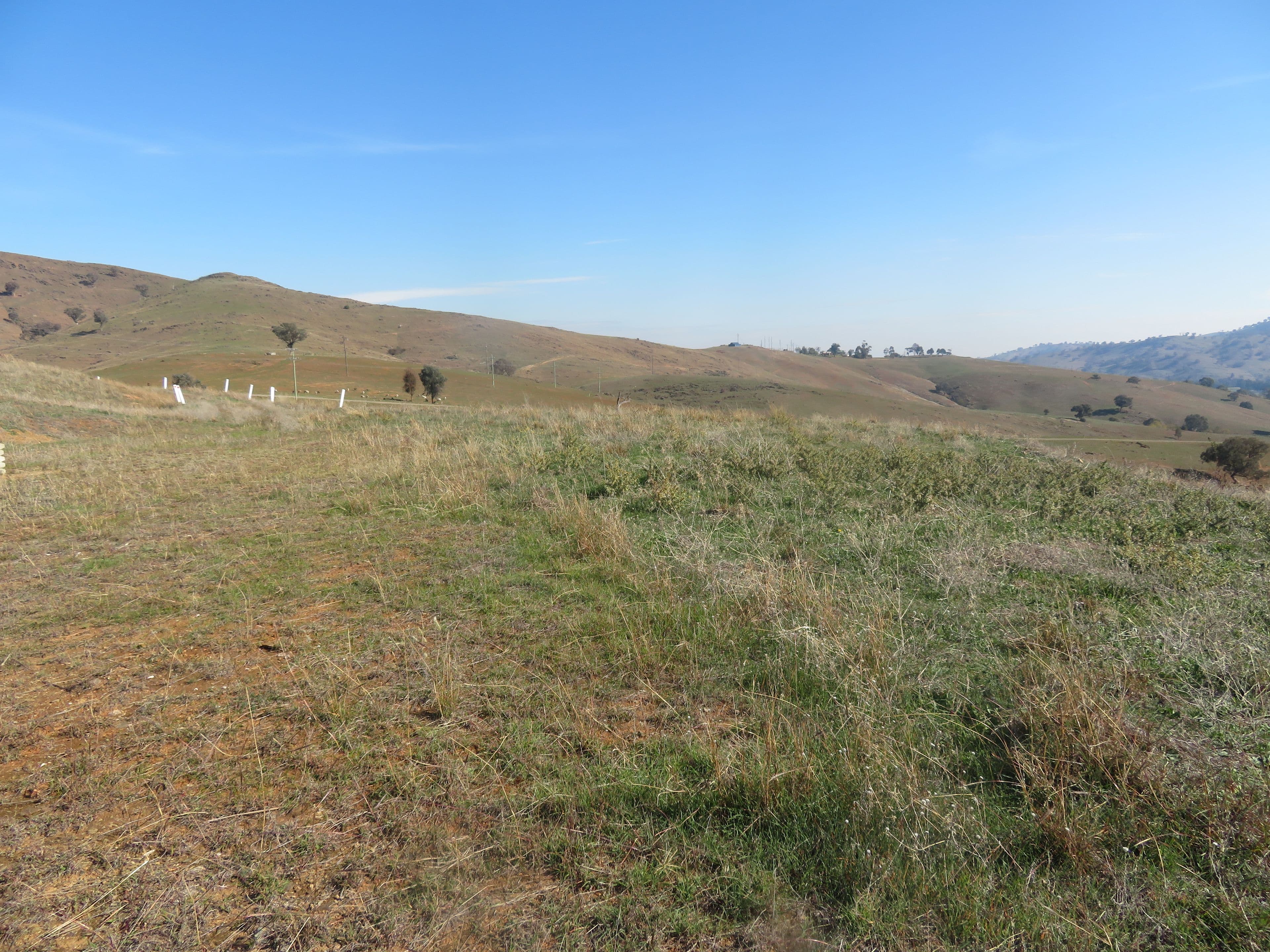 Lot 8 Springfield Lane, Gundagai NSW 2722, South Gundagai - Thumbnail 6