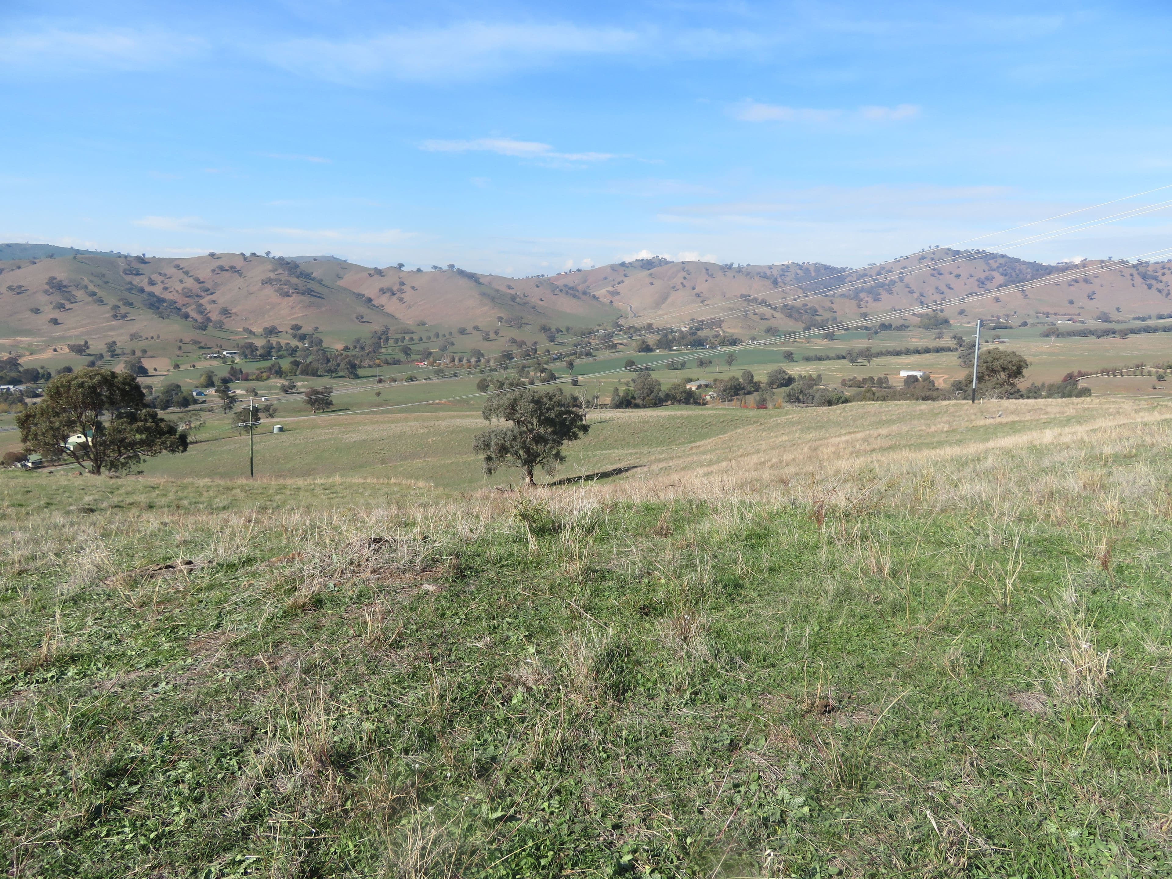 Lot 8 Springfield Lane, Gundagai NSW 2722, South Gundagai - Thumbnail 7