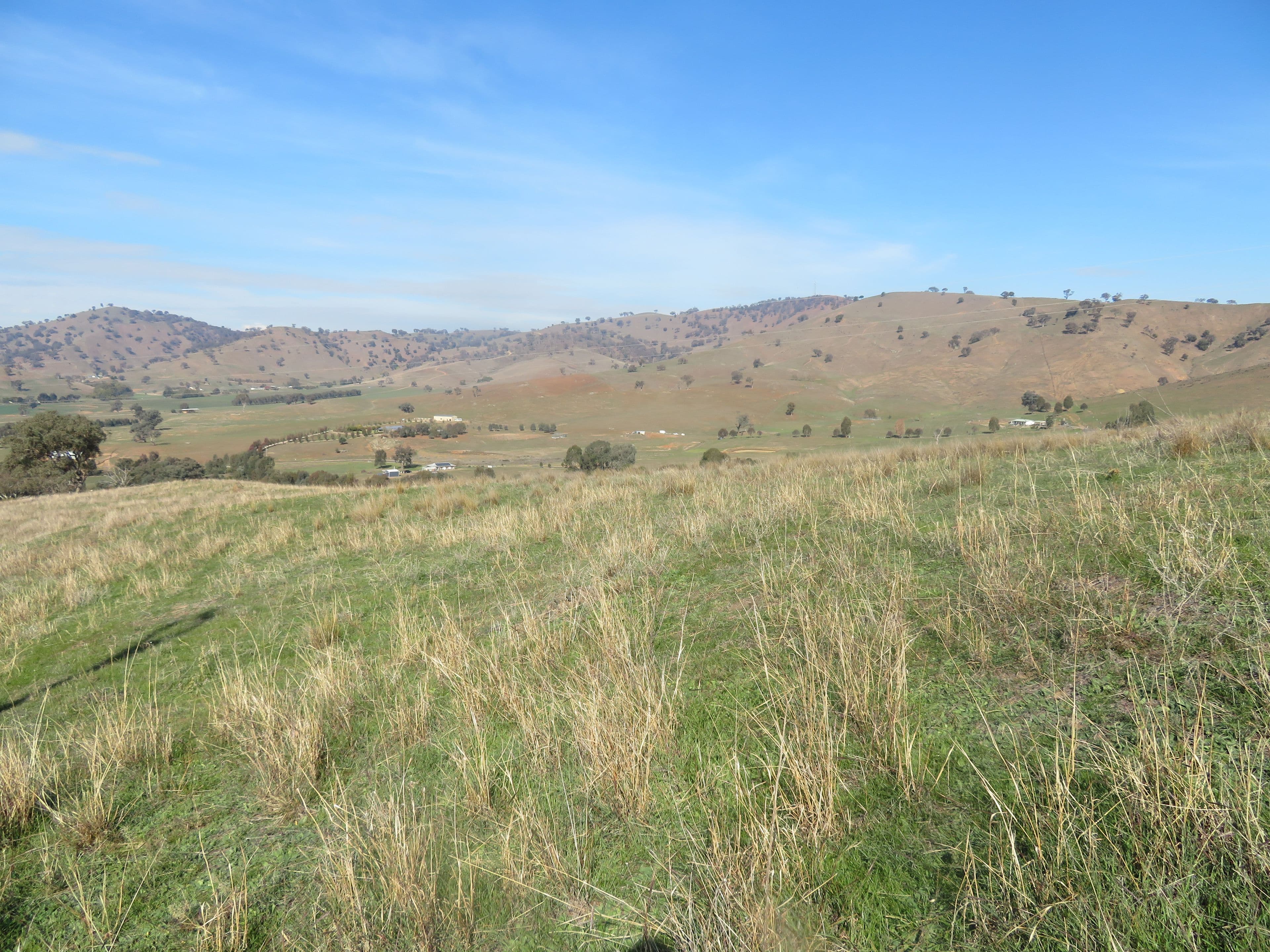 Lot 8 Springfield Lane, Gundagai NSW 2722, South Gundagai - Thumbnail 8