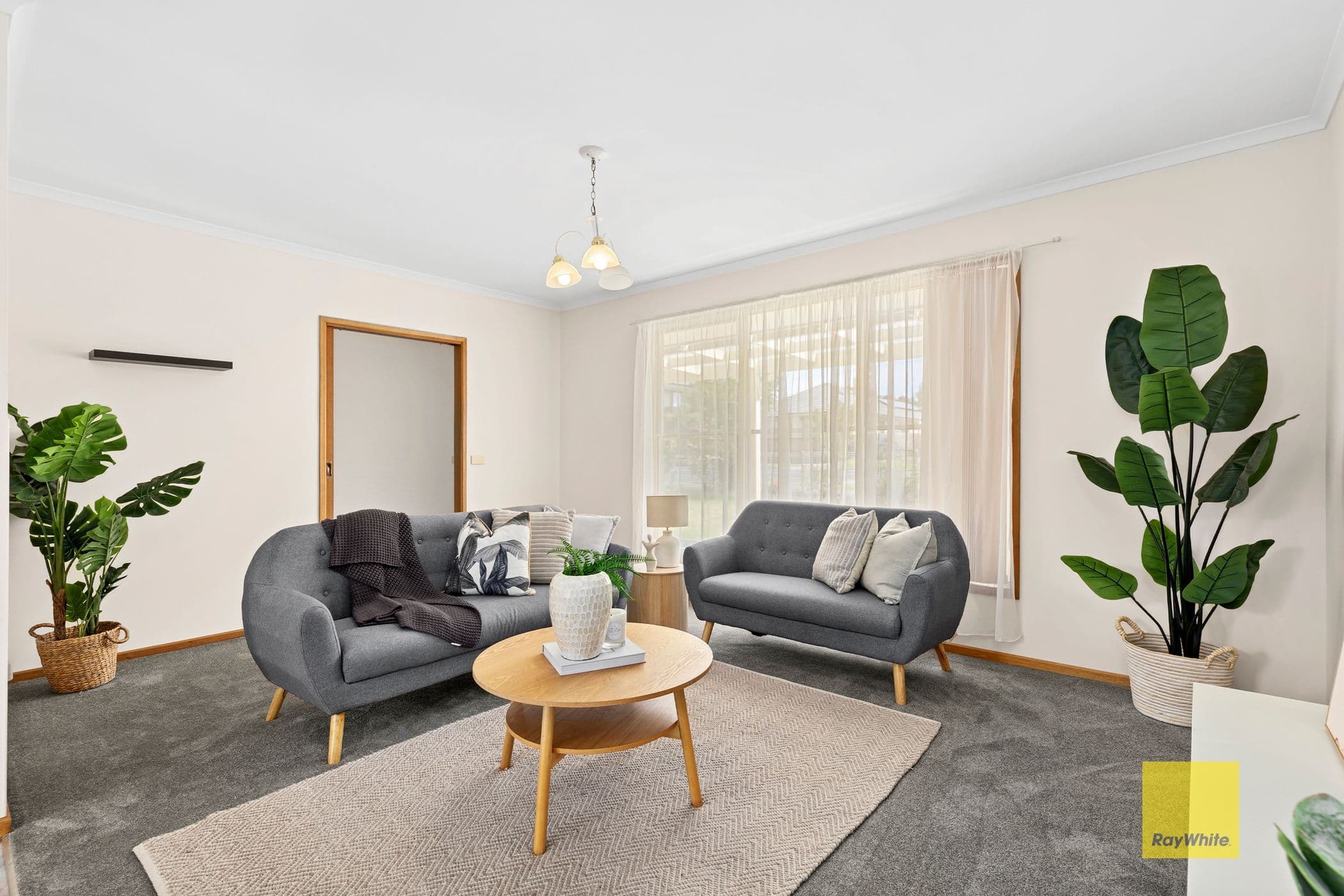 27 Francis Street, Belmont VIC 3216, Belmont - Thumbnail 6