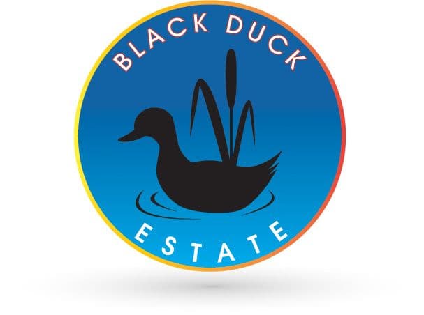 Lot 12 Black Duck Estate, Murrumba Downs QLD 4503, Murrumba Downs - Thumbnail 3