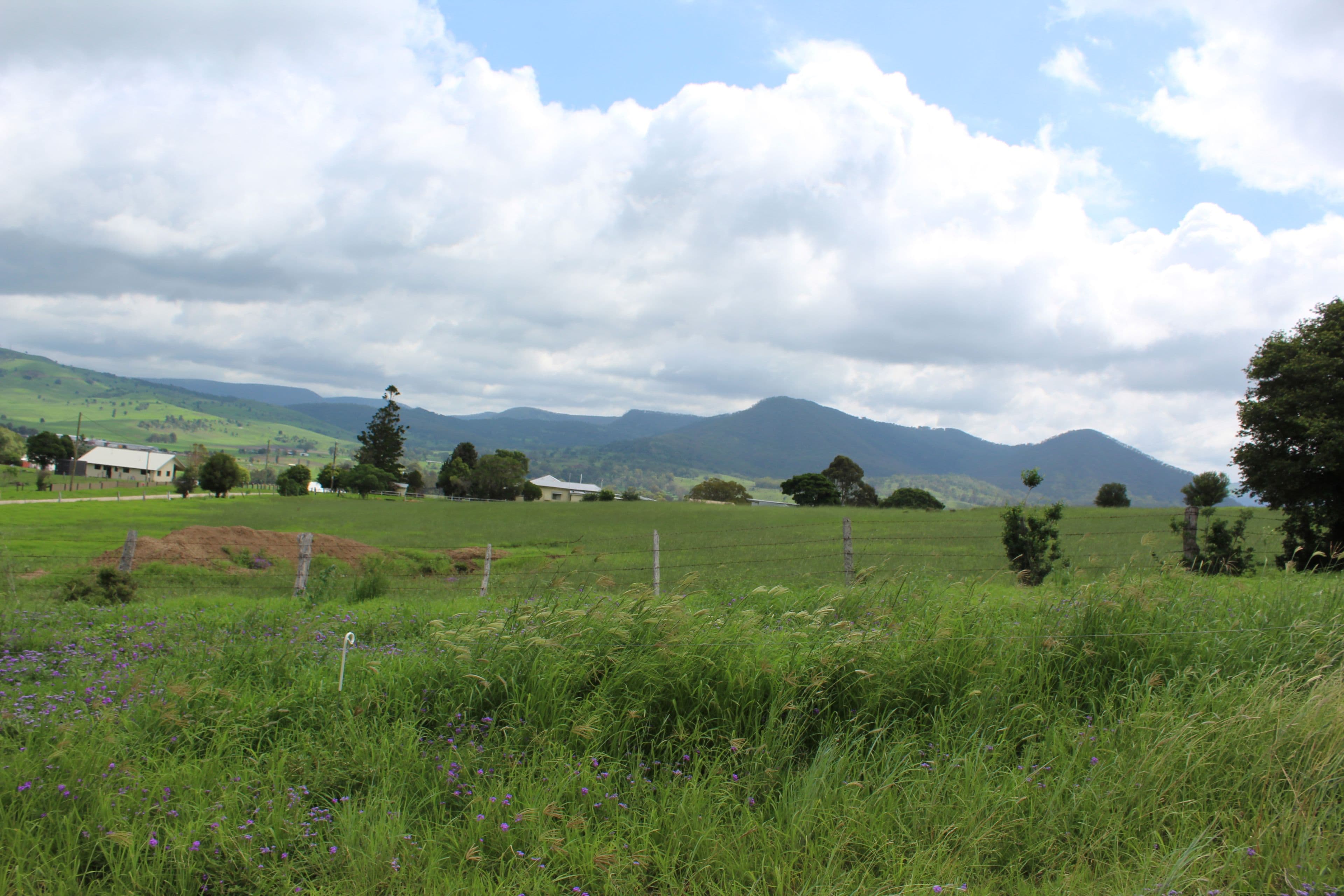 Lots 12,13,14 Rose Street, Killarney QLD 4373, Killarney - Image 1